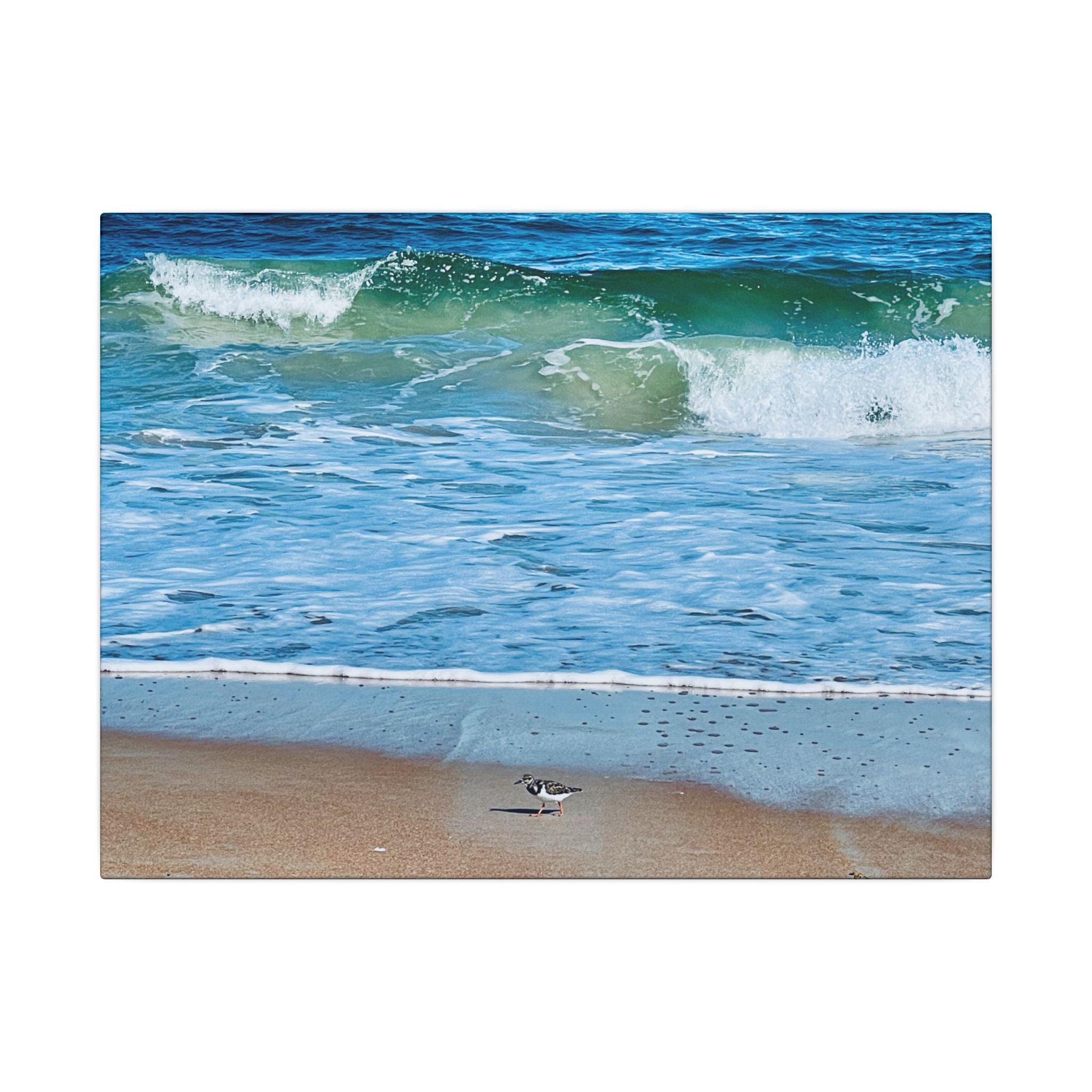 Canvas Print: Beach Day - Ormond By The Sea