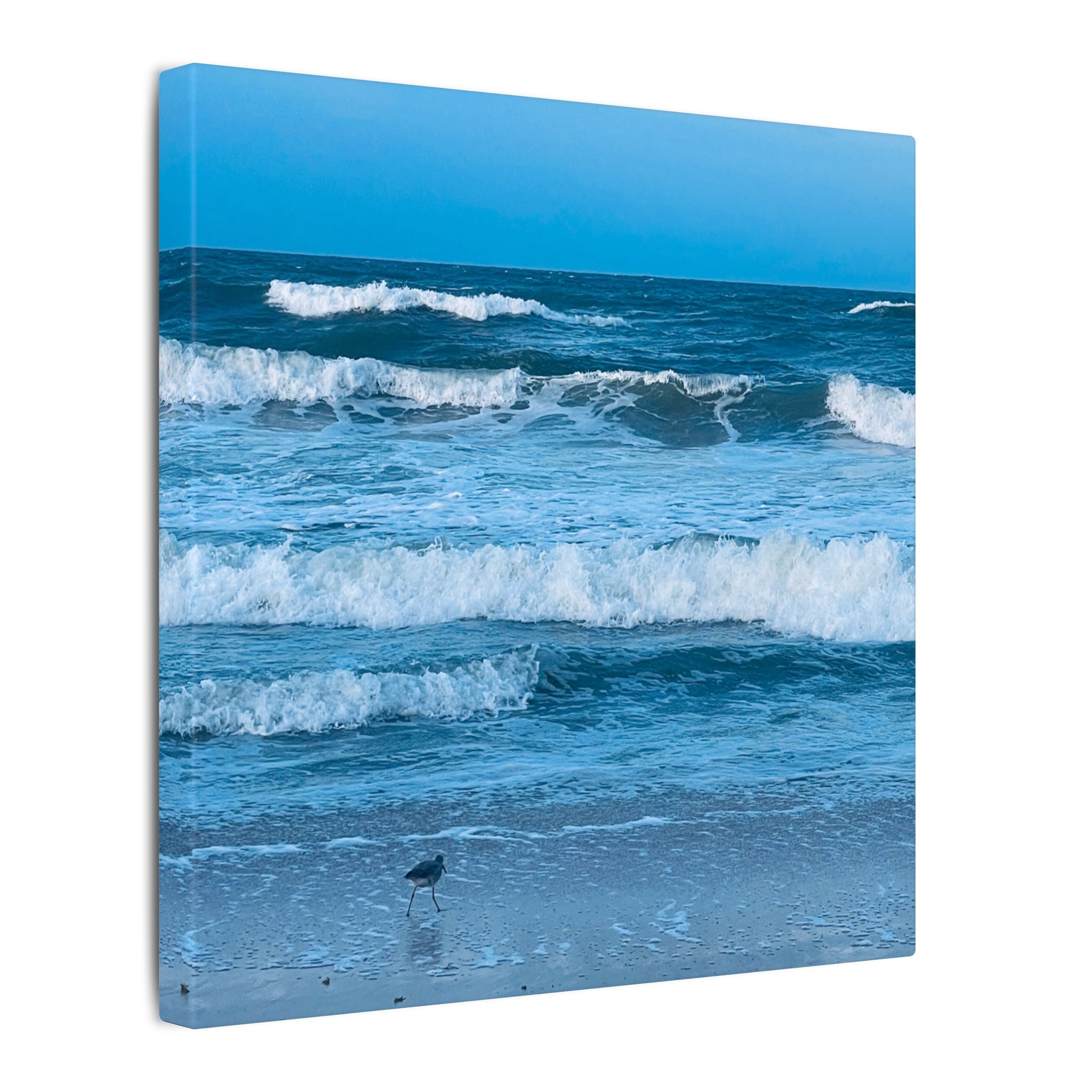 Canvas Print: Rolling Waves - Ormond-By-The-Sea