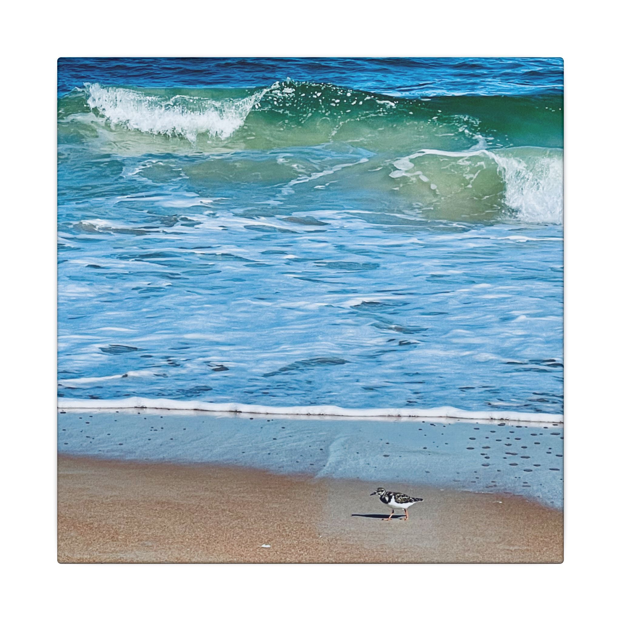 Canvas Print: Beach Day - Ormond By The Sea