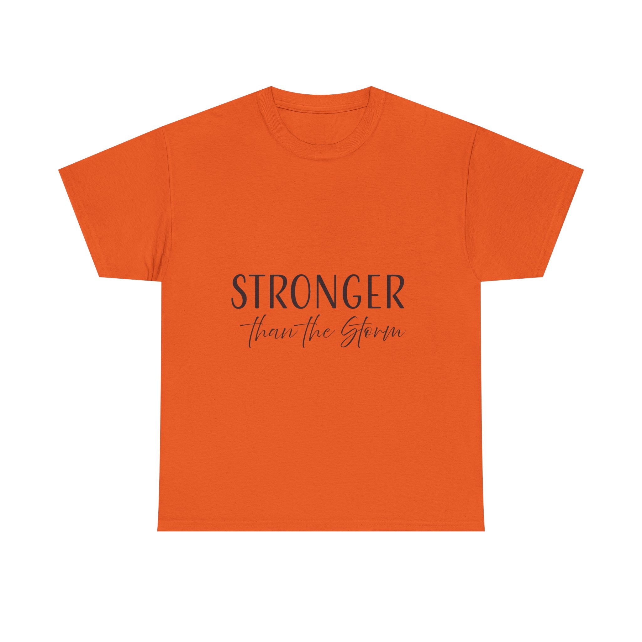 Teeshirt: Inspirational - Stronger Than the Storm