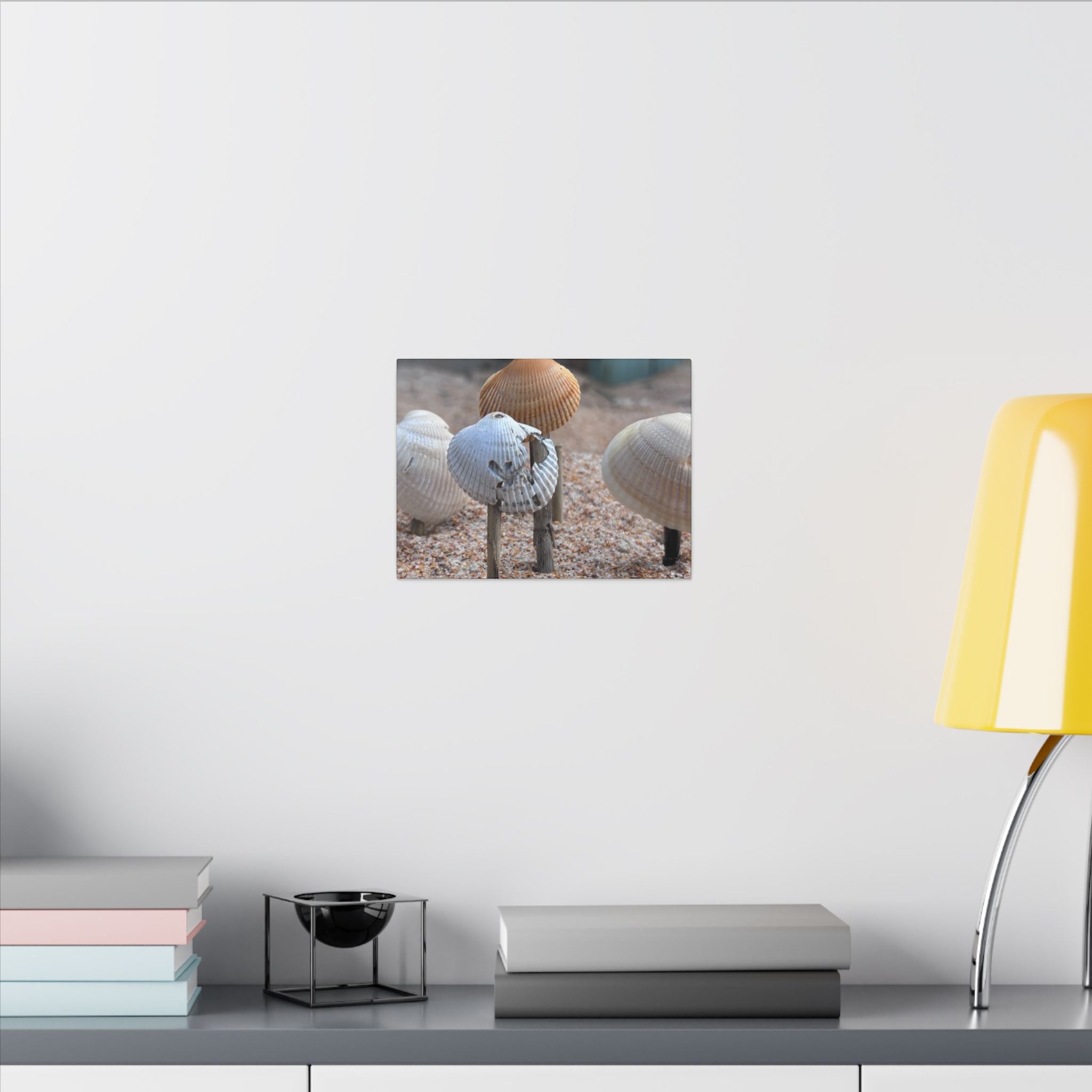 Canvas Print: Seashells-Ormond Beach