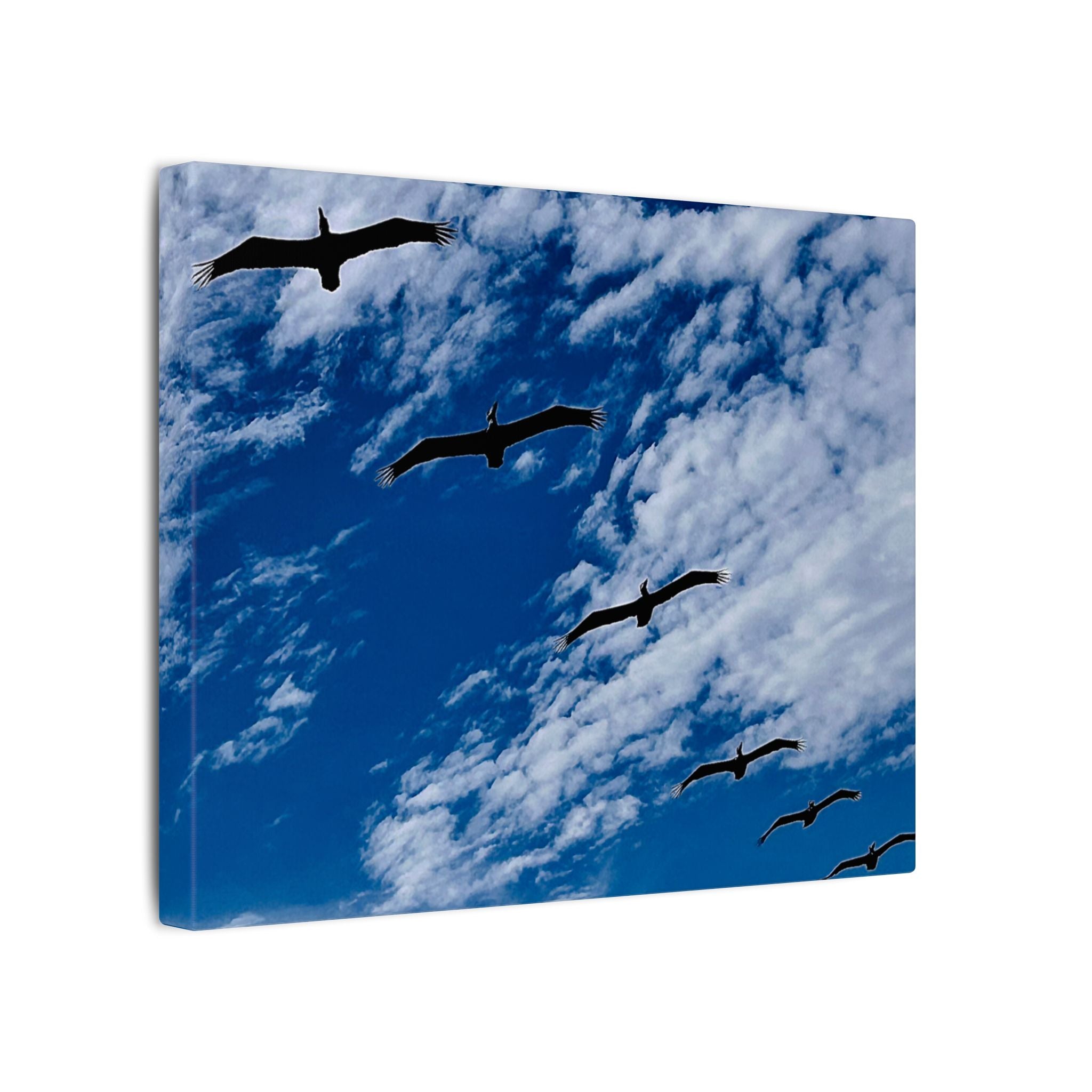 Canvas Print: Birds Flying Over Ormond Beach