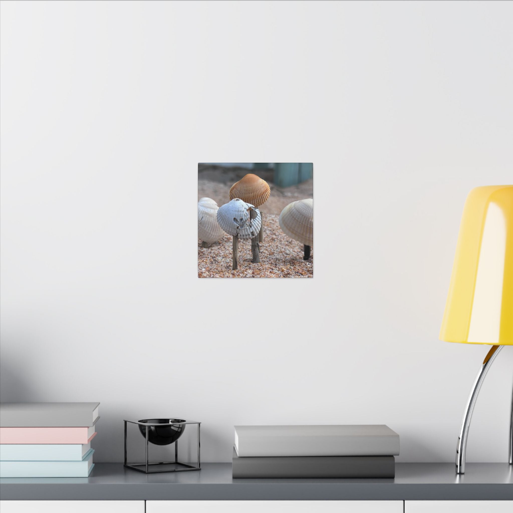 Canvas Print: Seashells-Ormond Beach