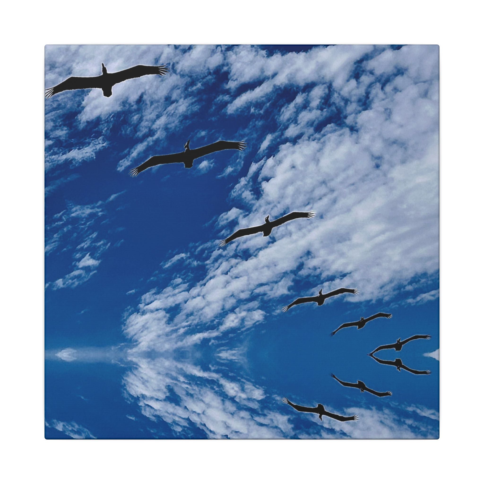Canvas Print: Birds Flying Over Ormond Beach