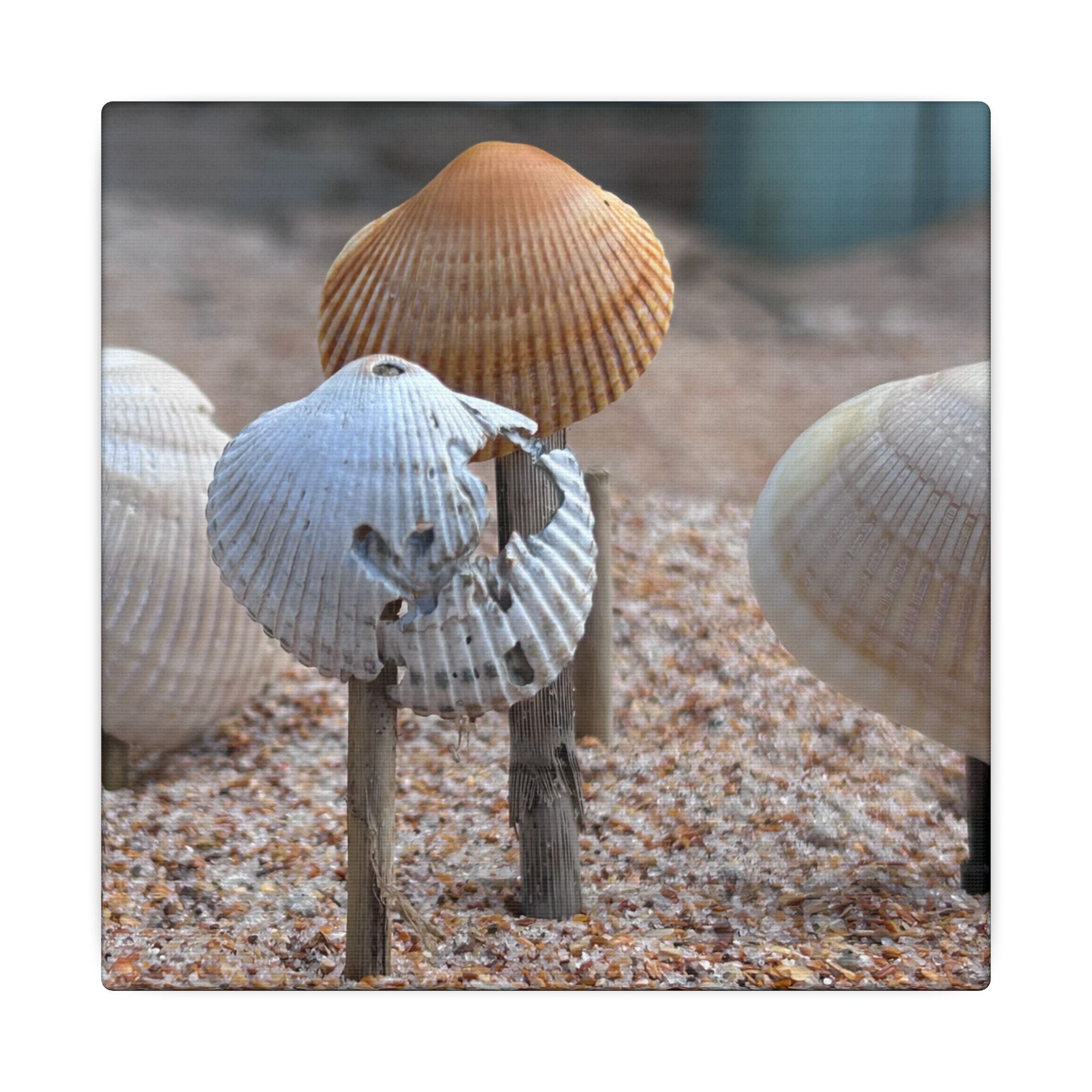 Canvas Print: Seashells-Ormond Beach