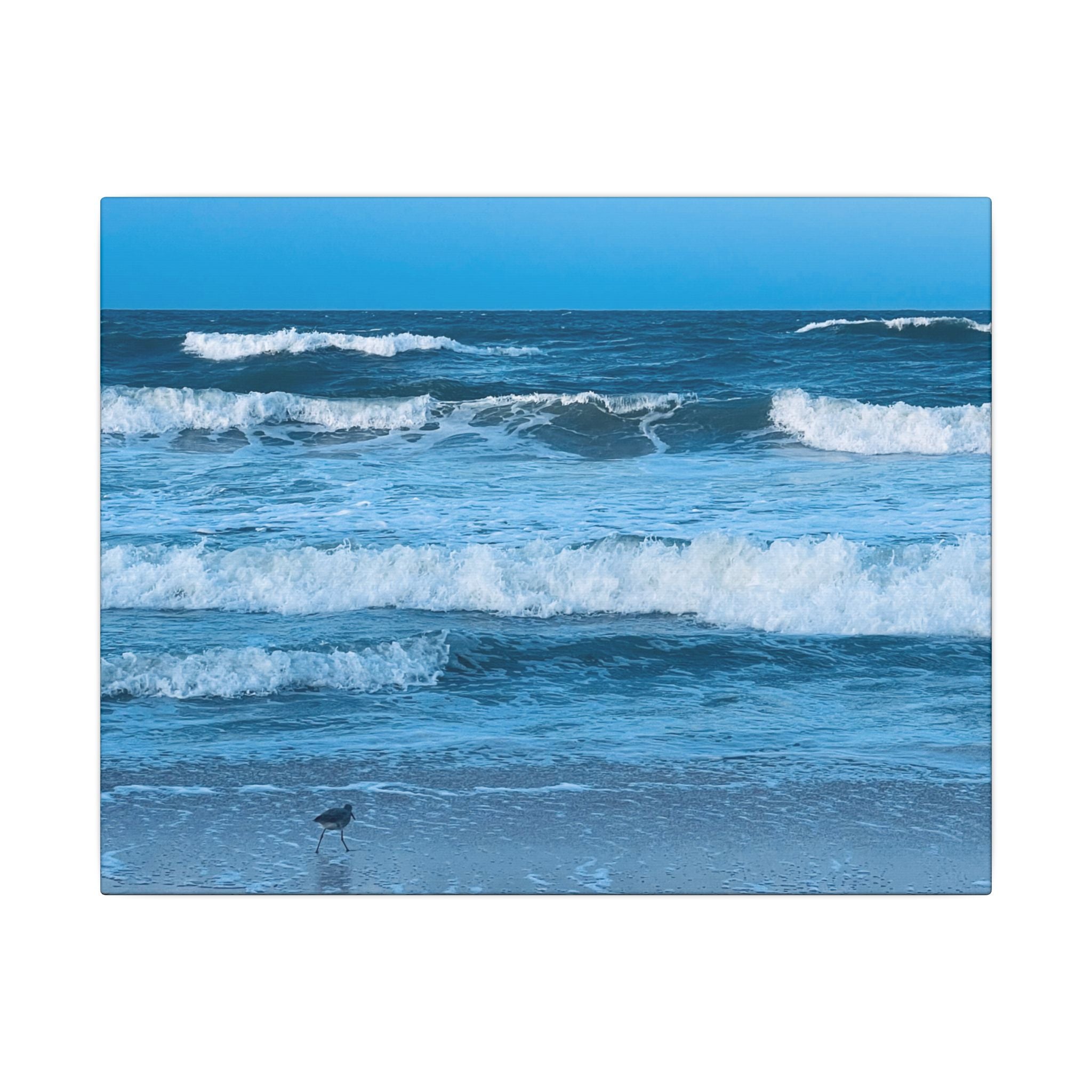 Canvas Print: Rolling Waves - Ormond-By-The-Sea