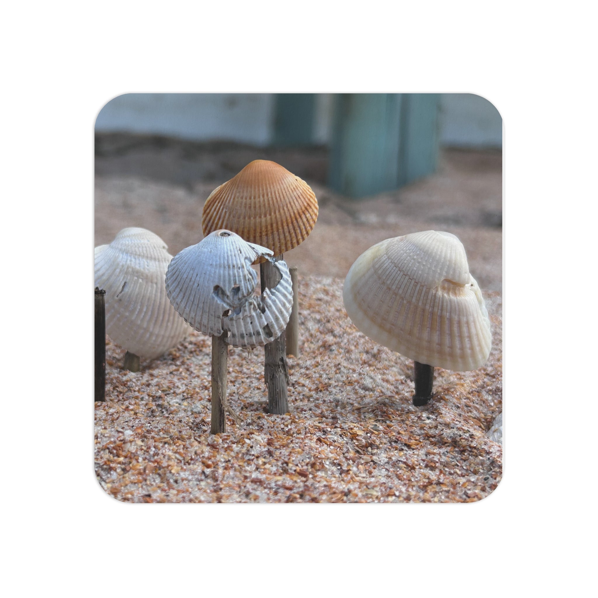Coasters: Seashells - (50, 100 pcs)