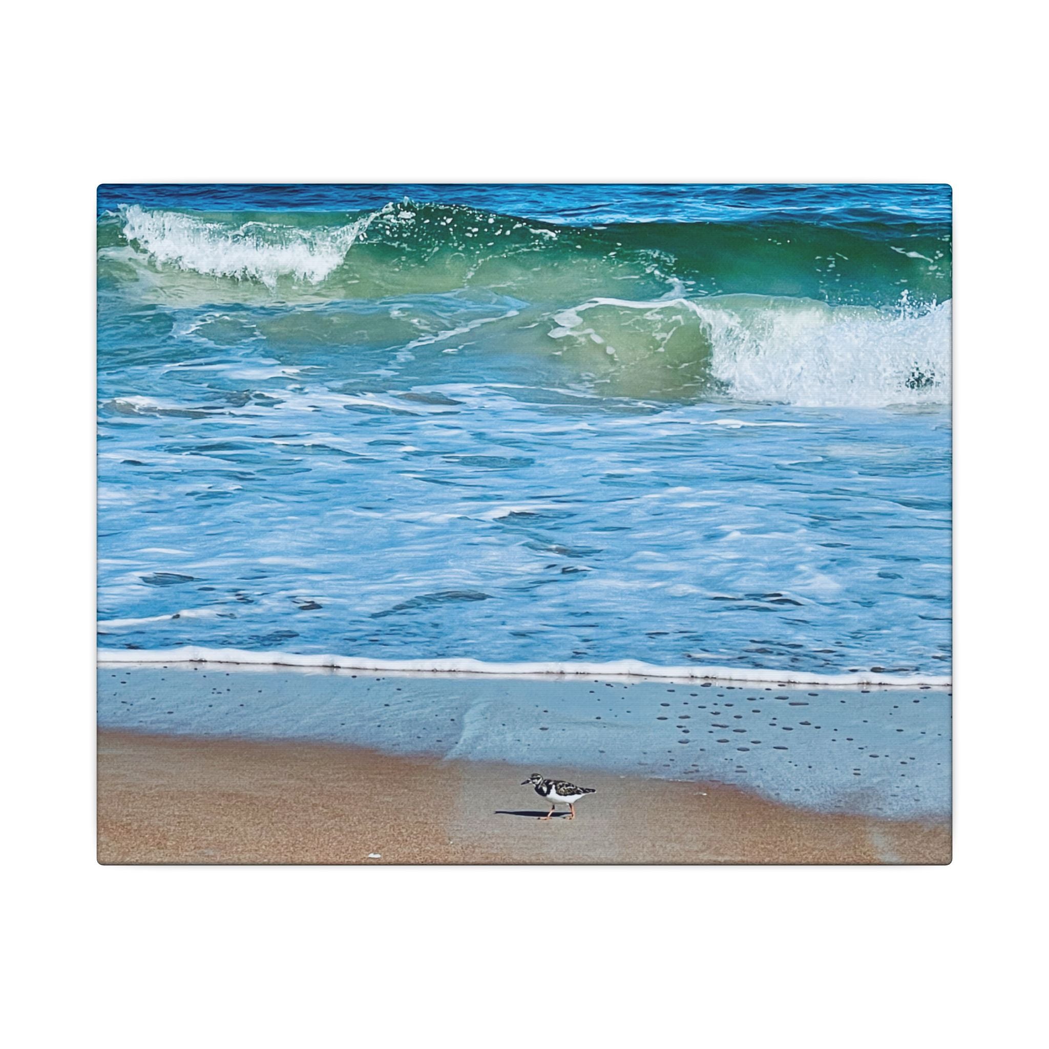 Canvas Print: Beach Day - Ormond By The Sea