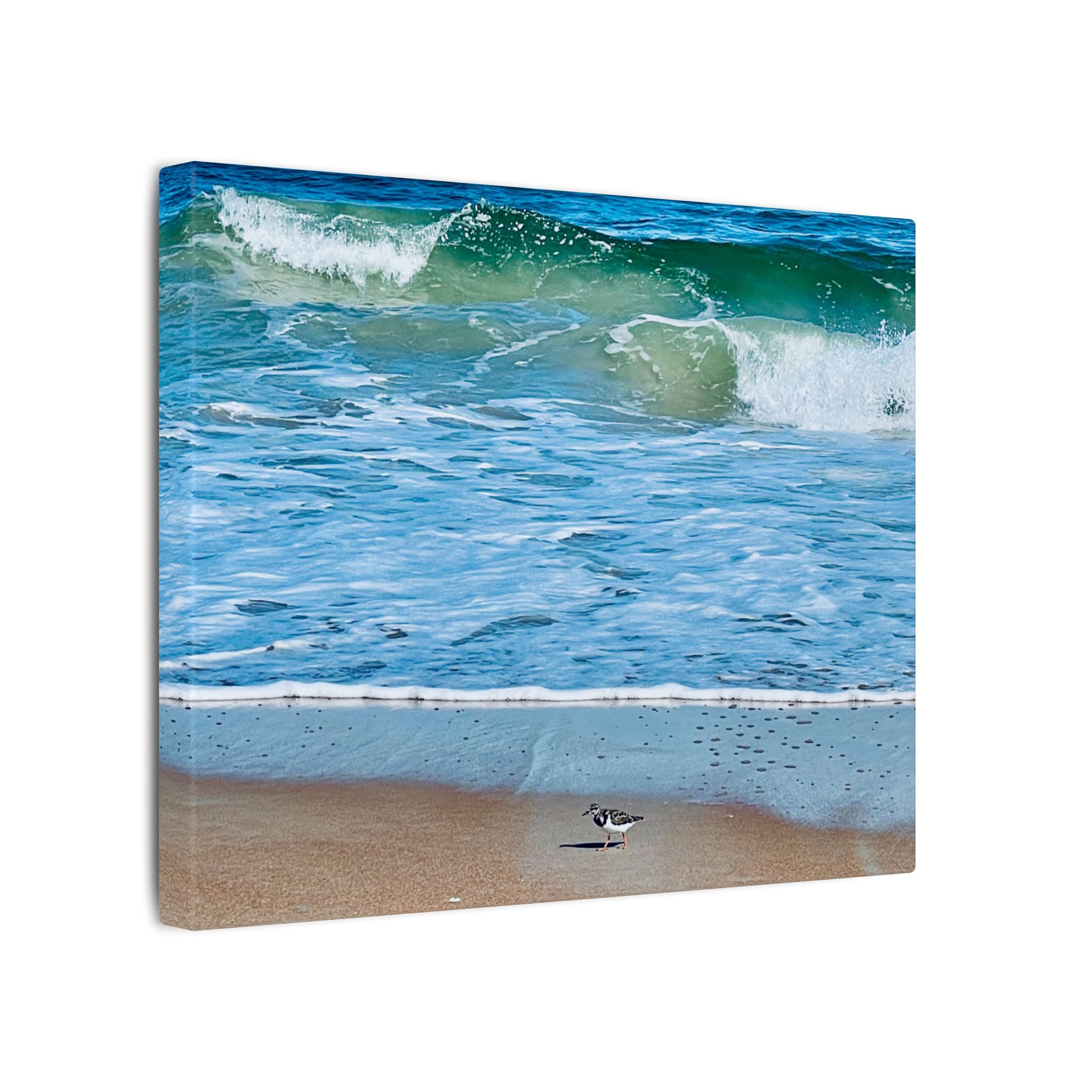 Canvas Print: Beach Day - Ormond By The Sea