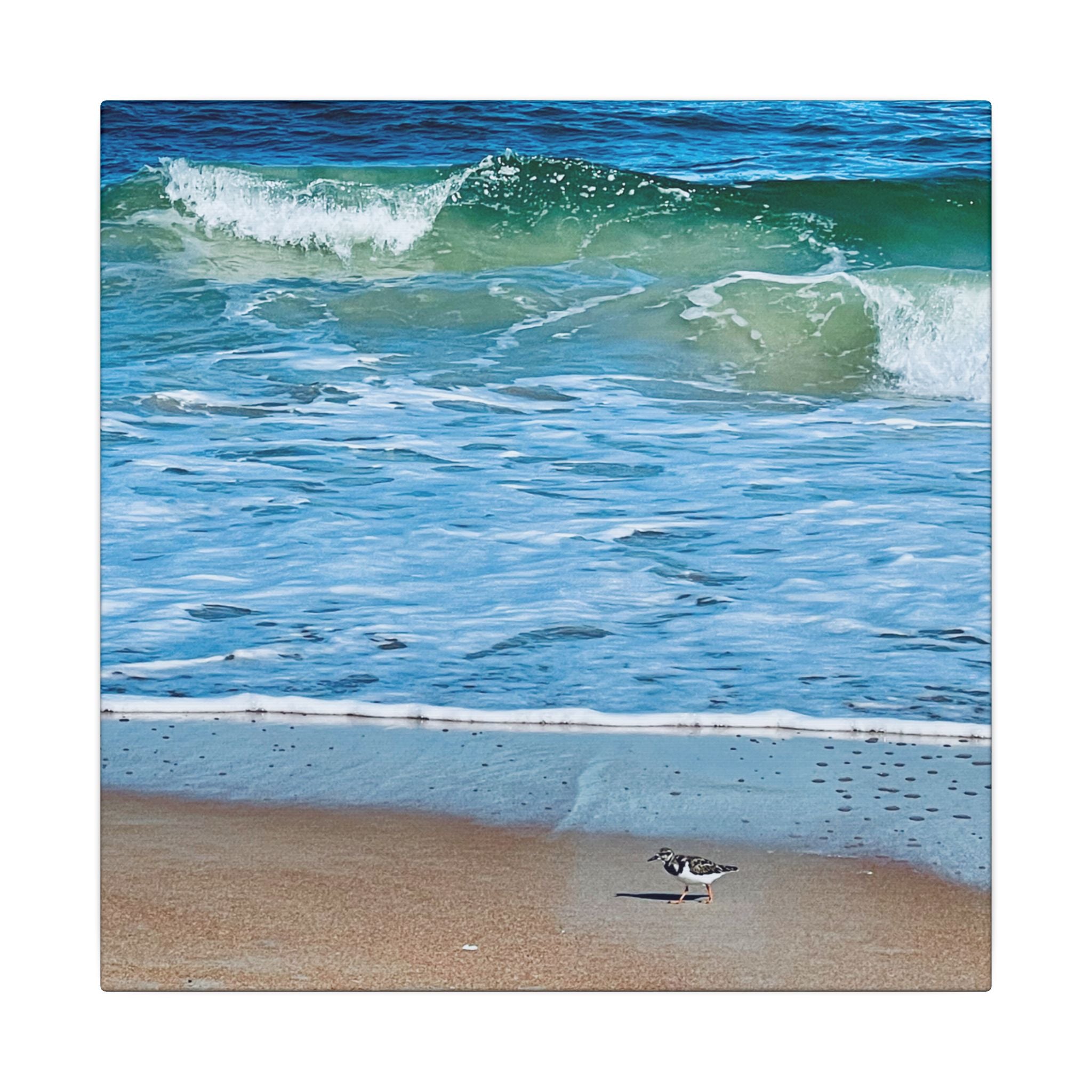 Canvas Print: Beach Day - Ormond By The Sea