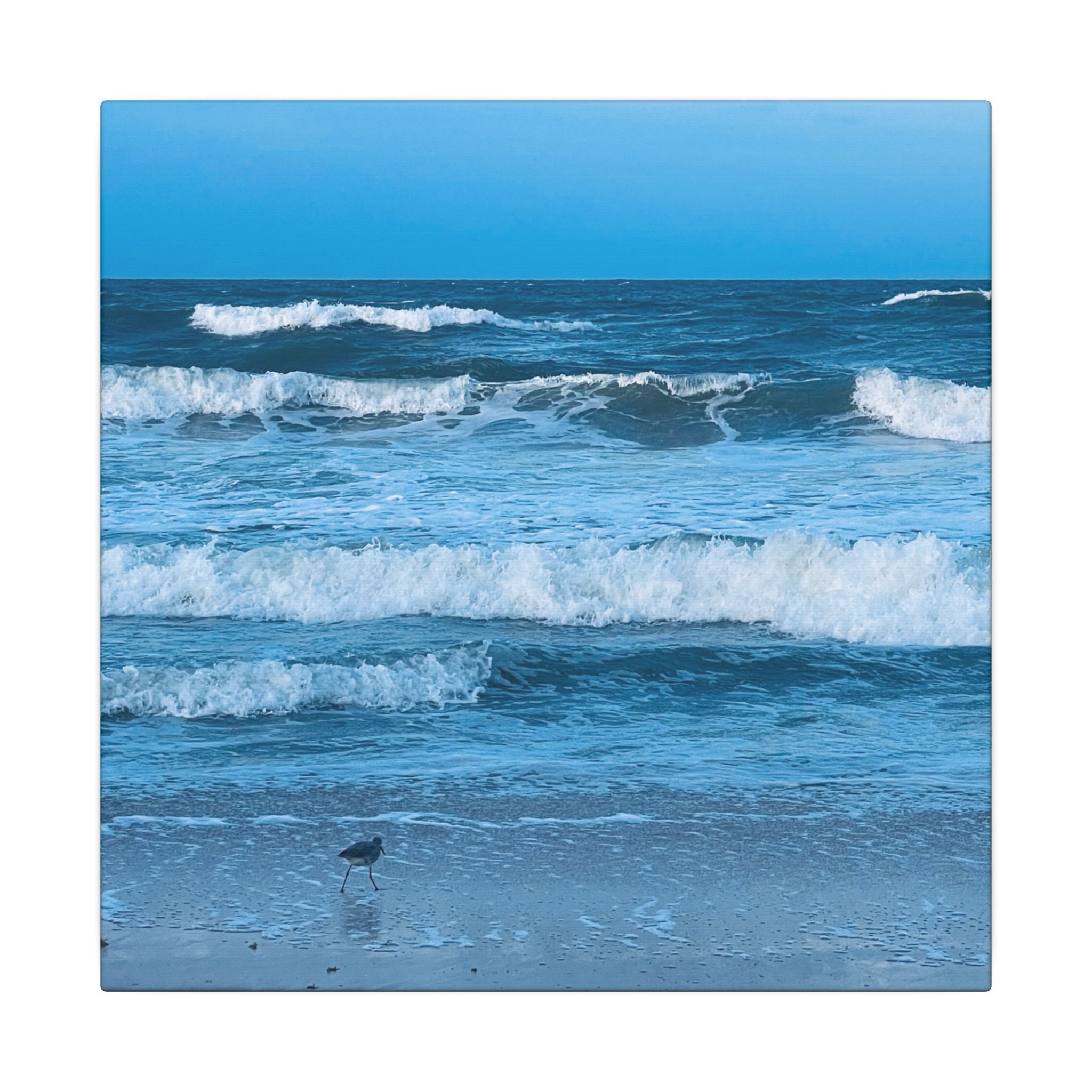 Canvas Print: Rolling Waves - Ormond-By-The-Sea