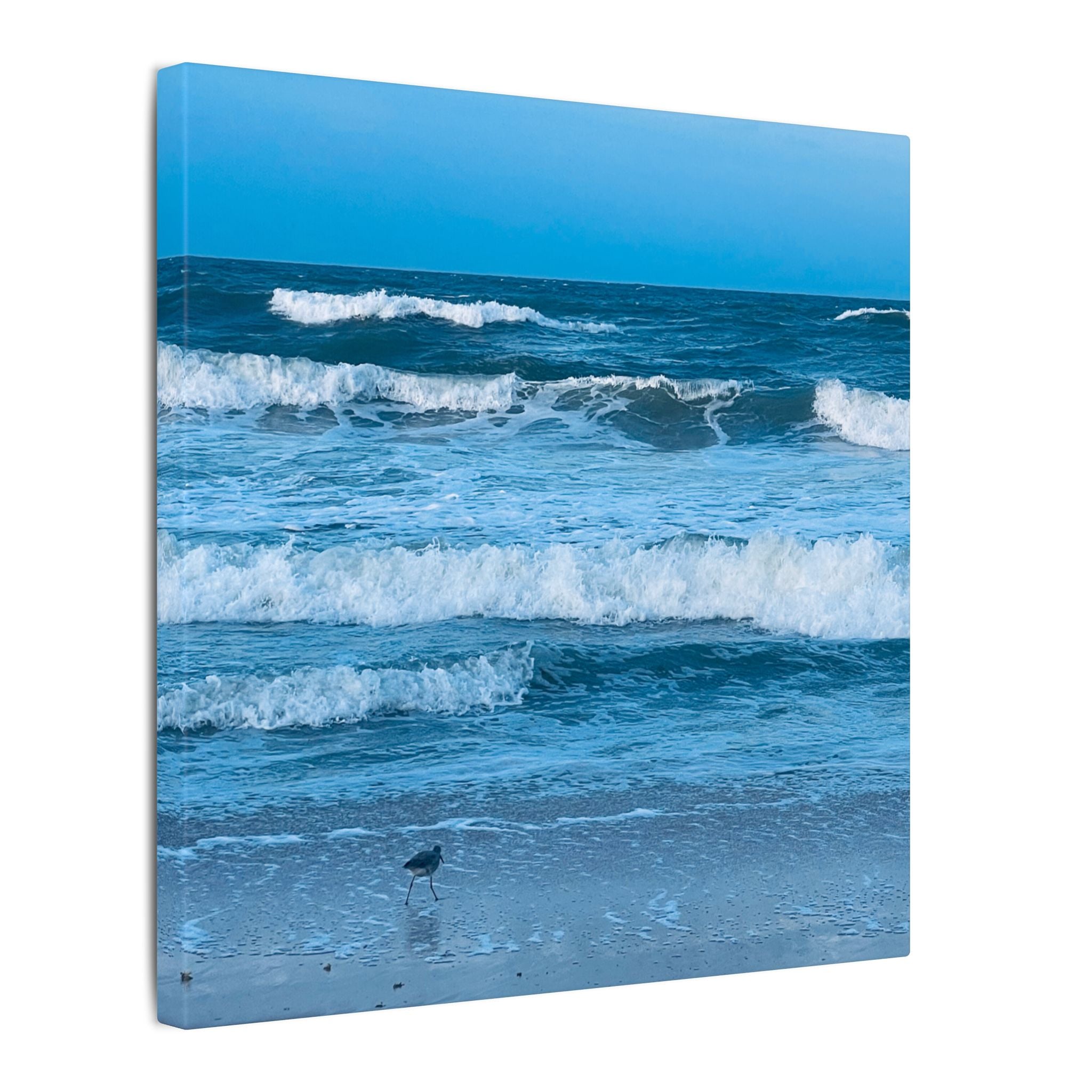 Canvas Print: Rolling Waves - Ormond-By-The-Sea