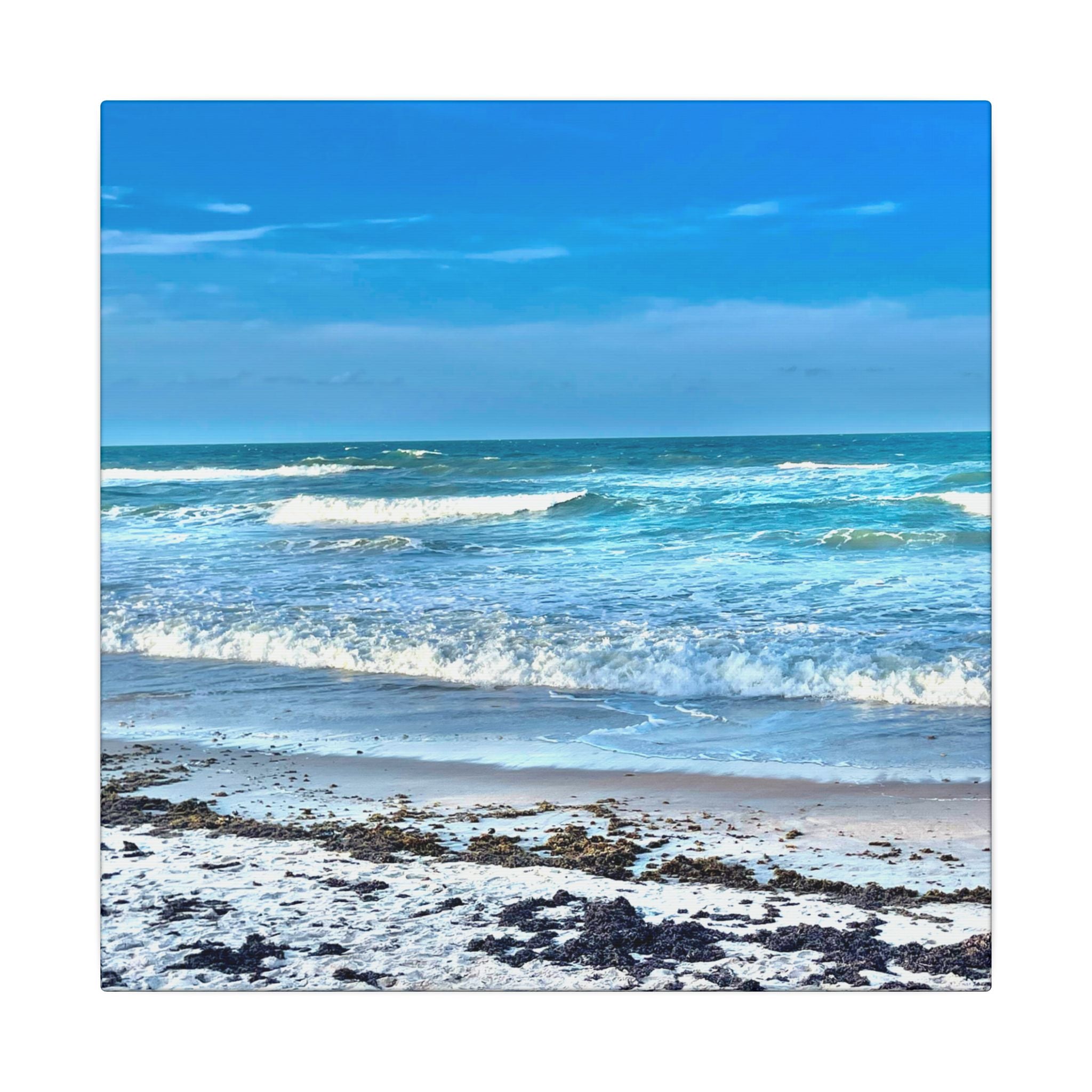 Canvas Print: Sea Sparkles - Ormond-by-The-Sea