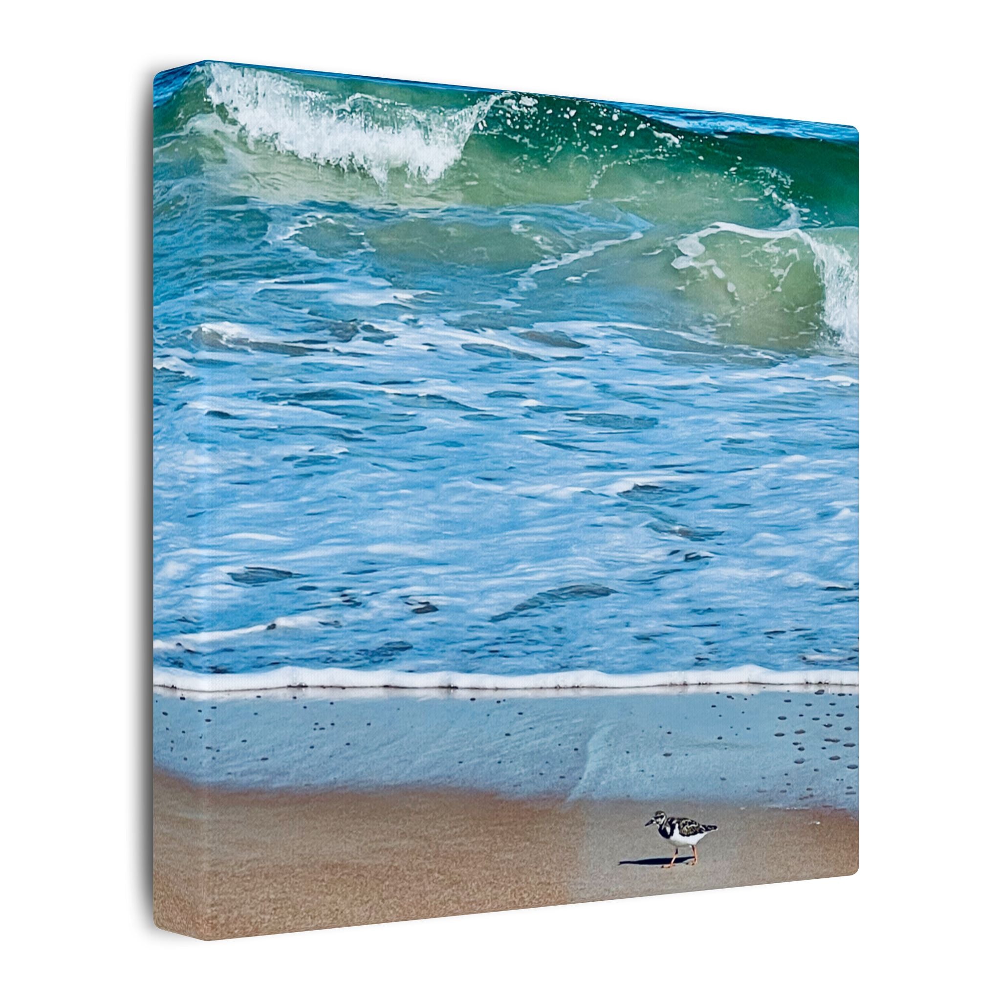 Canvas Print: Beach Day - Ormond By The Sea