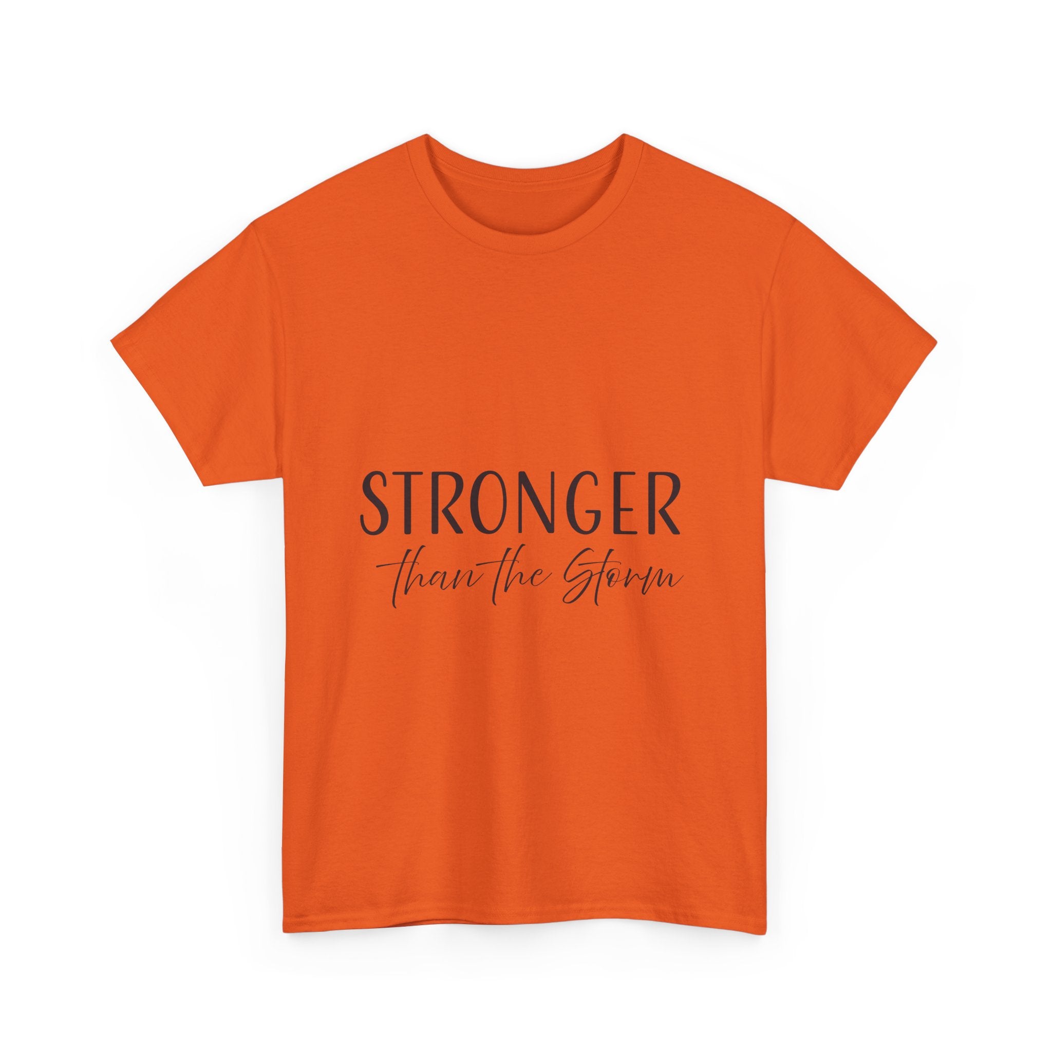 Teeshirt: Inspirational - Stronger Than the Storm