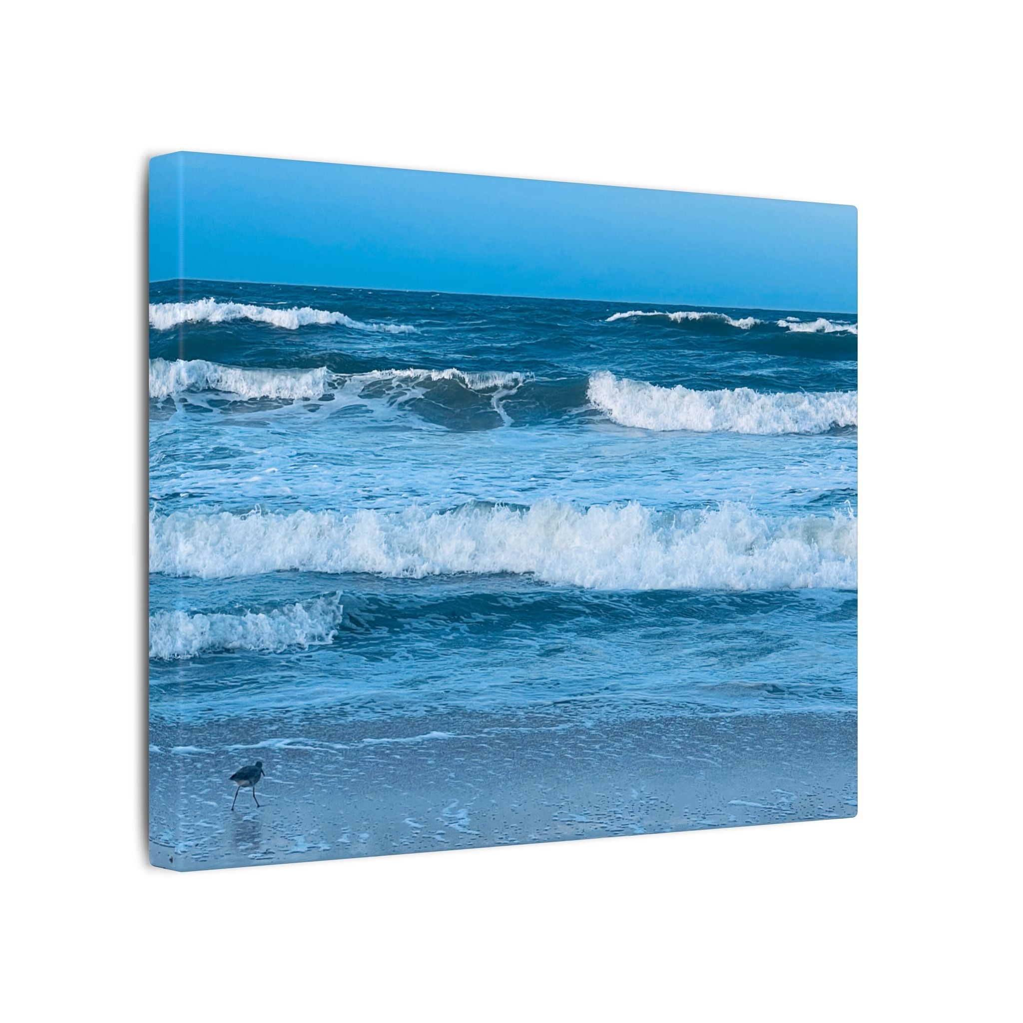 Canvas Print: Beachy Waves - Ormond-By-The-Sea