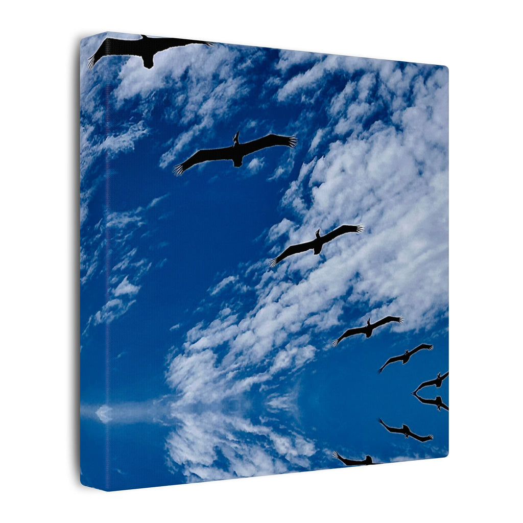 Canvas Print: Birds Flying Over Ormond Beach