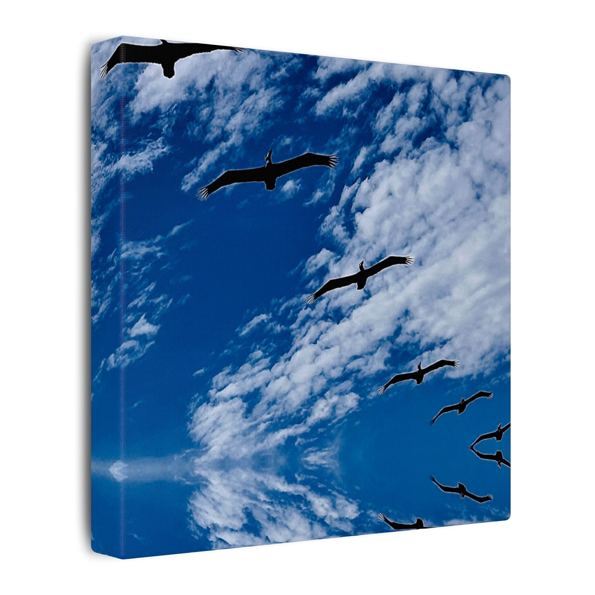Canvas Print: Birds Flying Over Ormond Beach