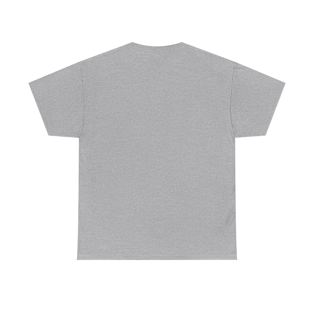 Teeshirt: Naughty or Nice... We Tried - Adult (M/F)