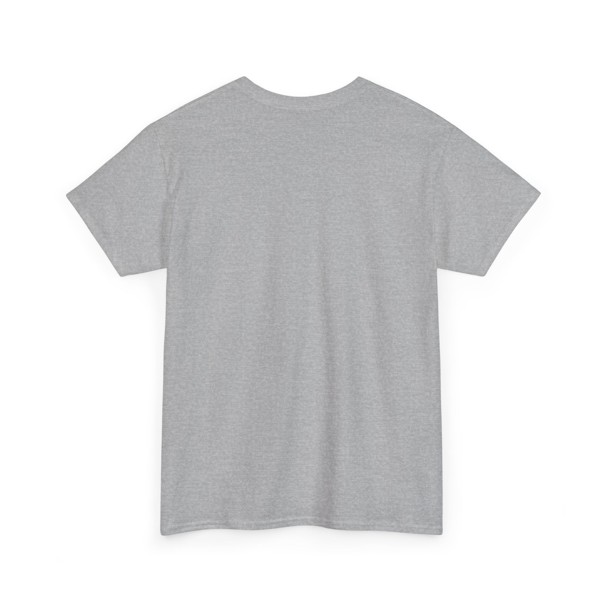 Teeshirt: Naughty or Nice... We Tried - Adult (M/F)
