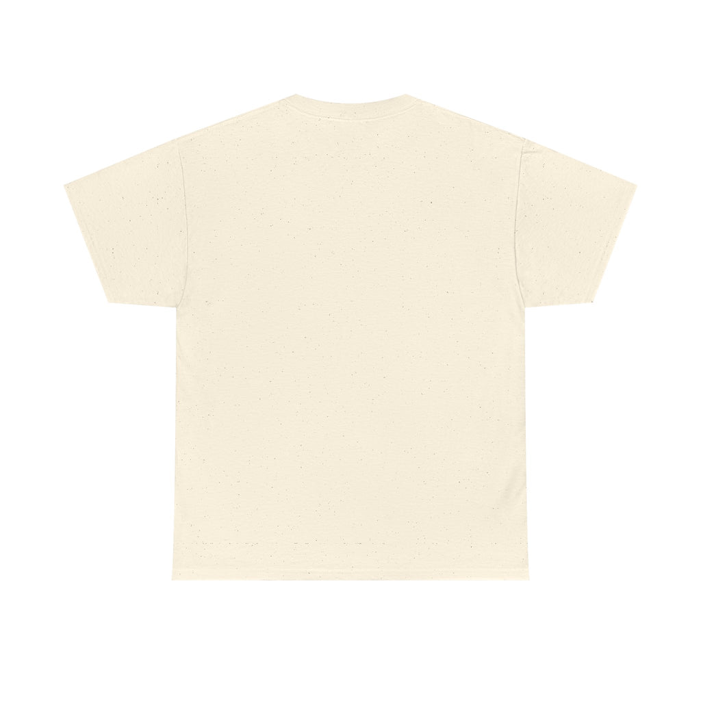 Teeshirt: Naughty or Nice... We Tried - Adult (M/F)