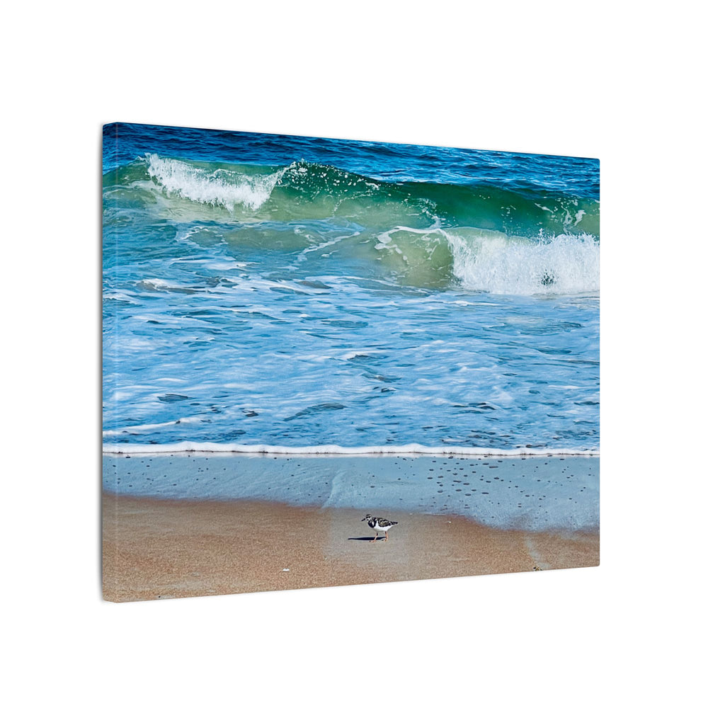 Canvas Print: Beach Day - Ormond By The Sea