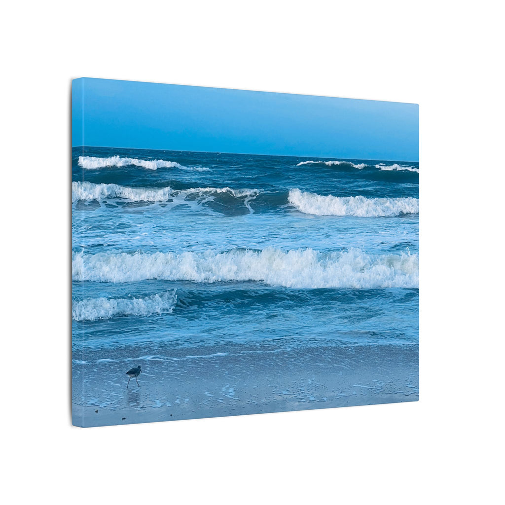 Canvas Print: Beachy Waves - Ormond-By-The-Sea