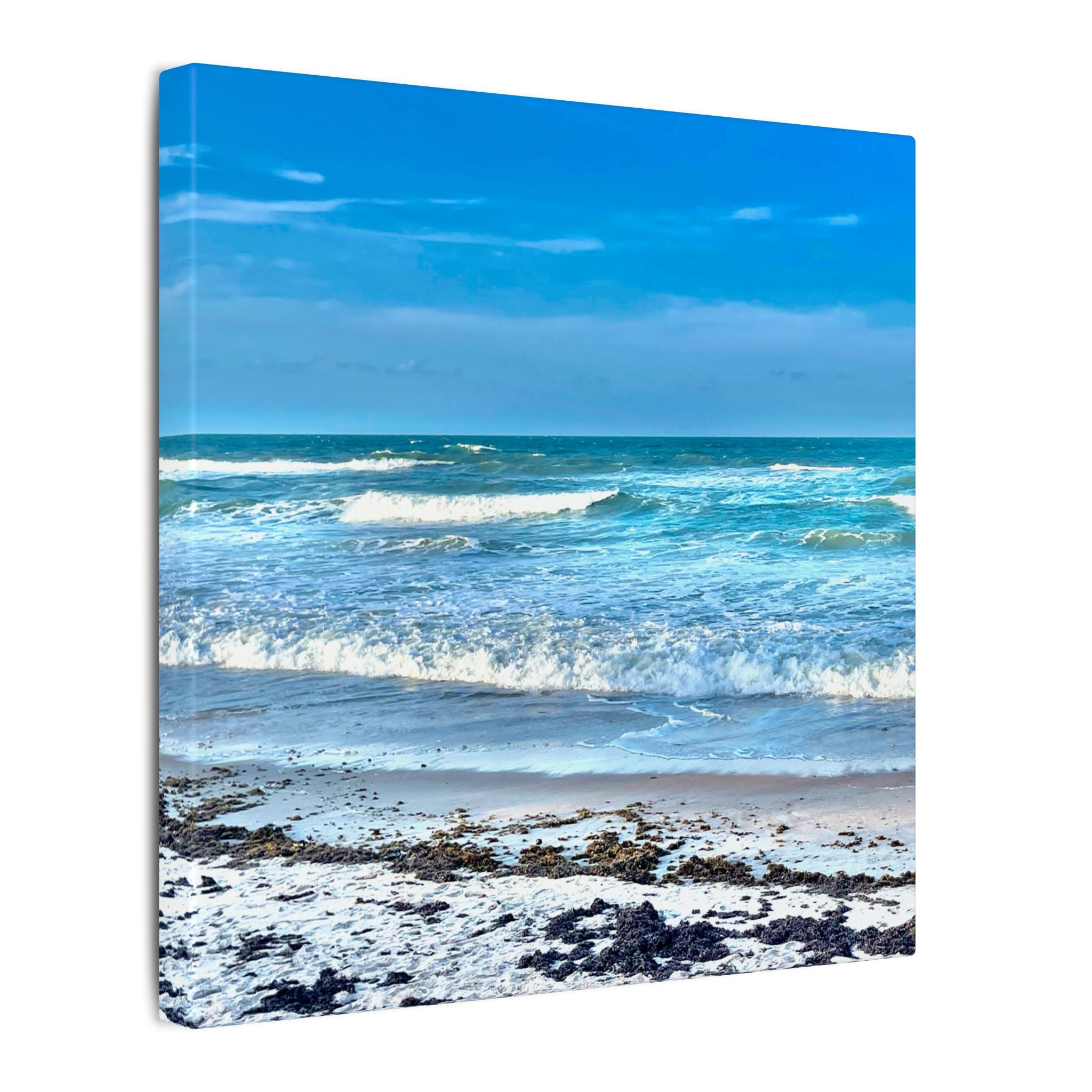 Canvas Print: Sea Sparkles - Ormond-by-The-Sea