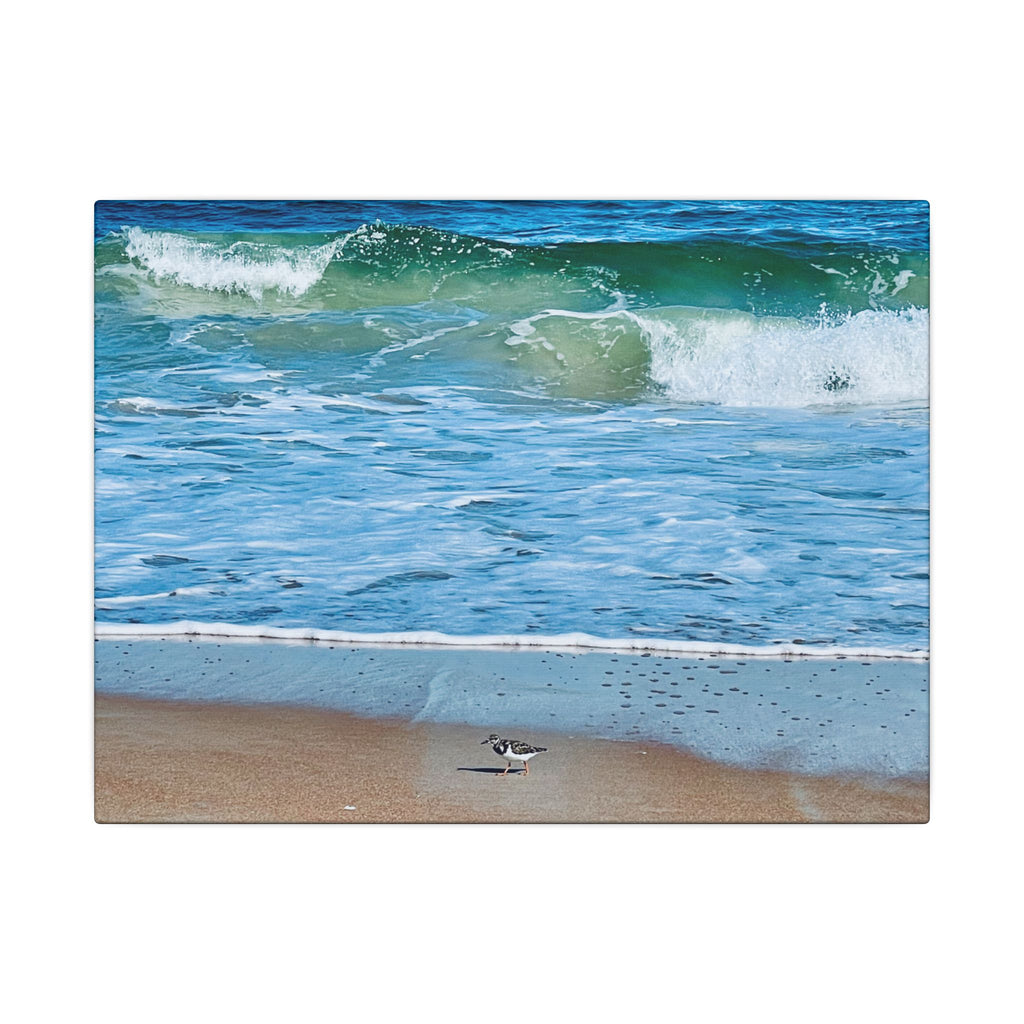 Canvas Print: Beach Day - Ormond By The Sea