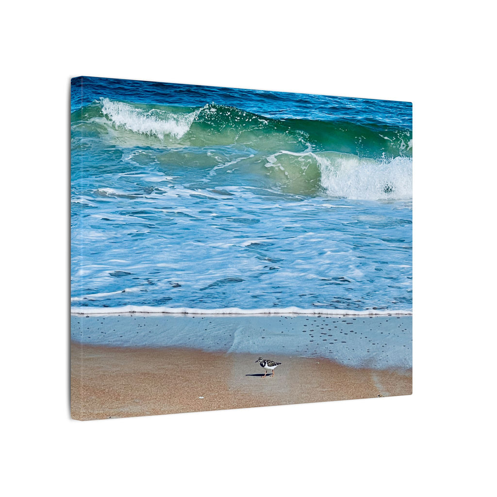 Canvas Print: Beach Day - Ormond By The Sea