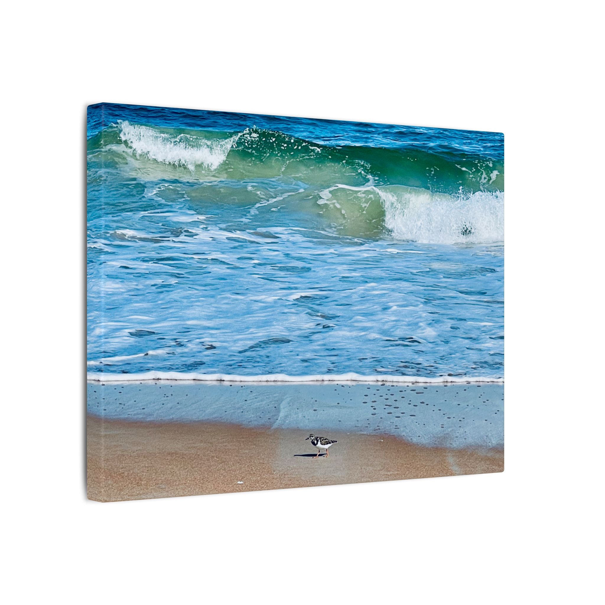 Canvas Print: Beach Day - Ormond By The Sea