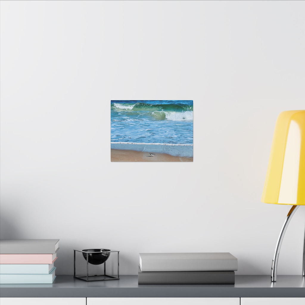 Canvas Print: Beach Day - Ormond By The Sea