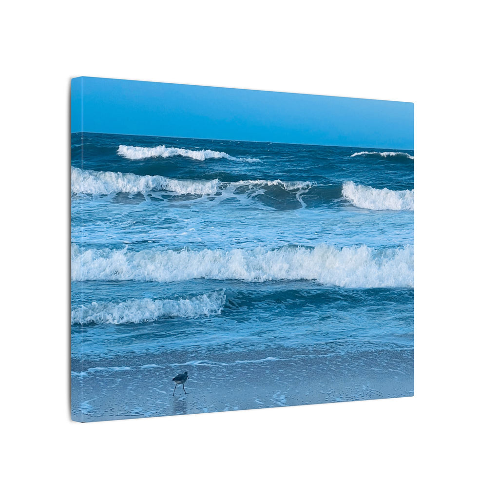 Canvas Print: Rolling Waves - Ormond-By-The-Sea