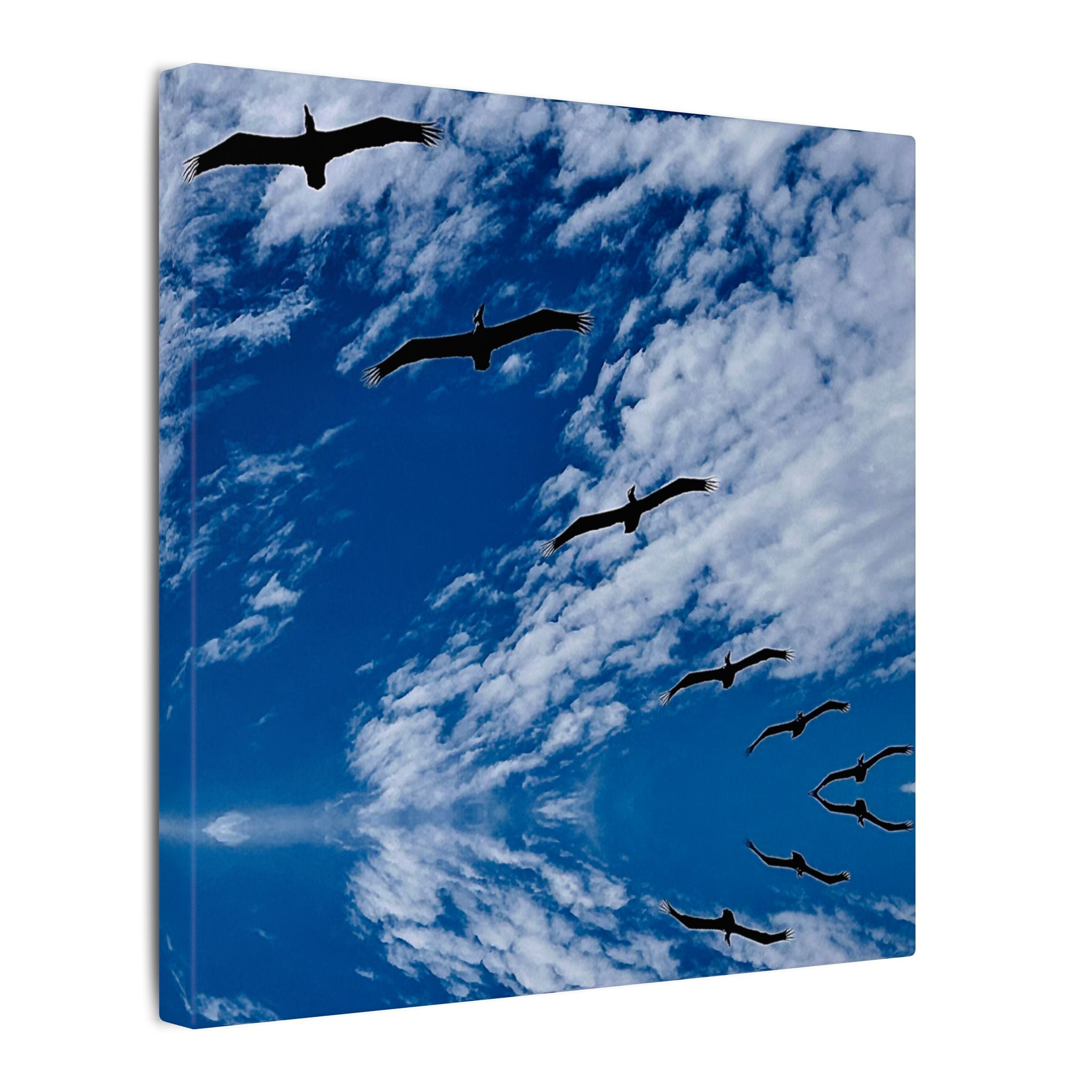 Canvas Print: Birds Flying Over Ormond Beach