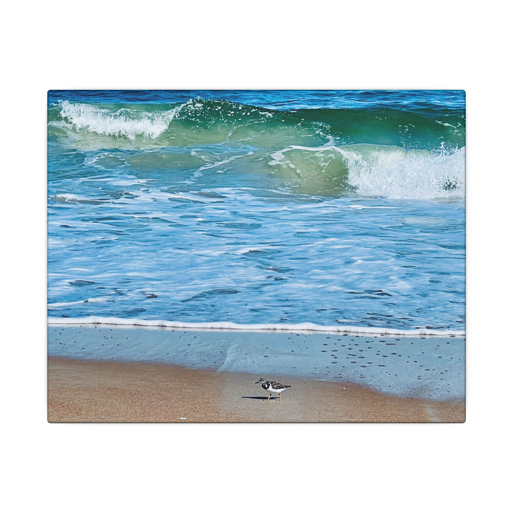 Canvas Print: Beach Day - Ormond By The Sea
