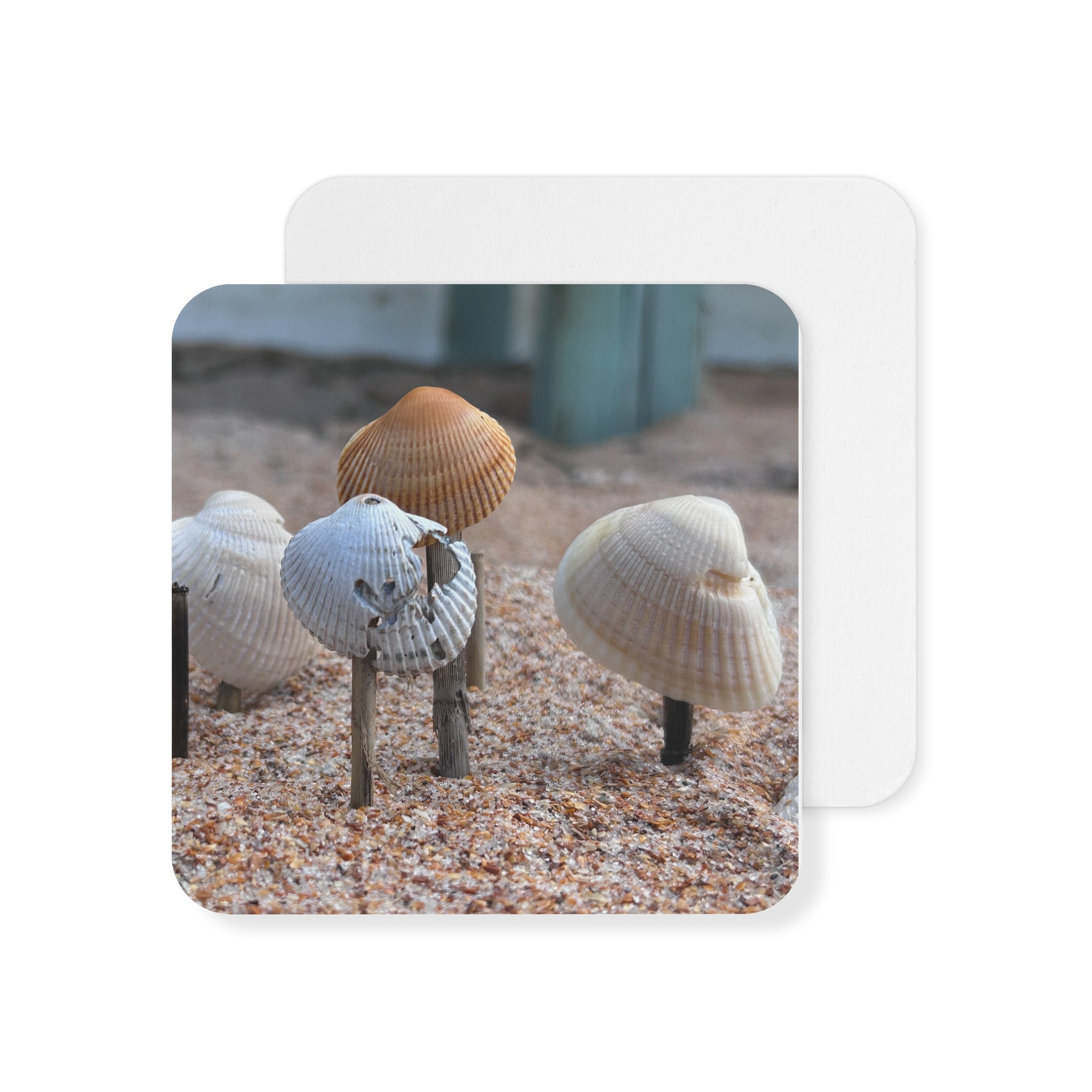 Coasters: Seashells - (50, 100 pcs)