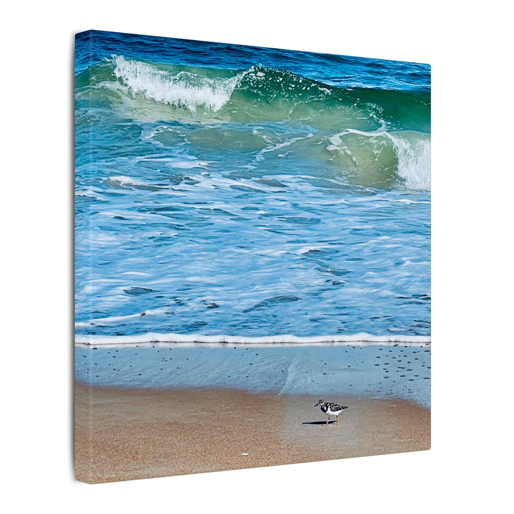 Canvas Print: Beach Day - Ormond By The Sea