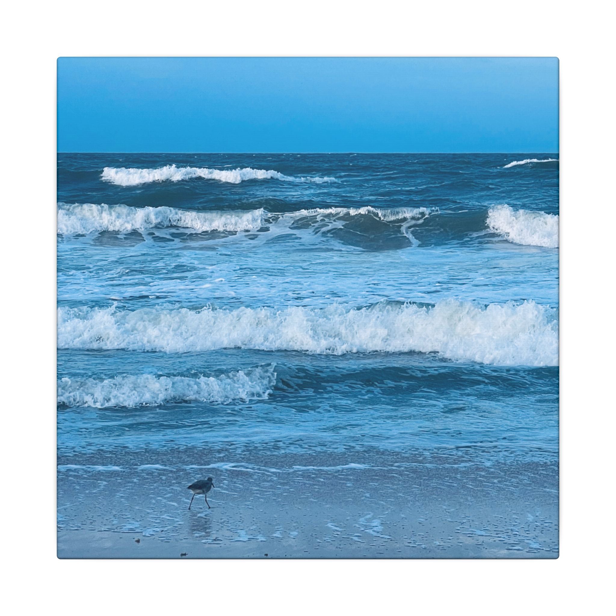 Canvas Print: Rolling Waves - Ormond-By-The-Sea