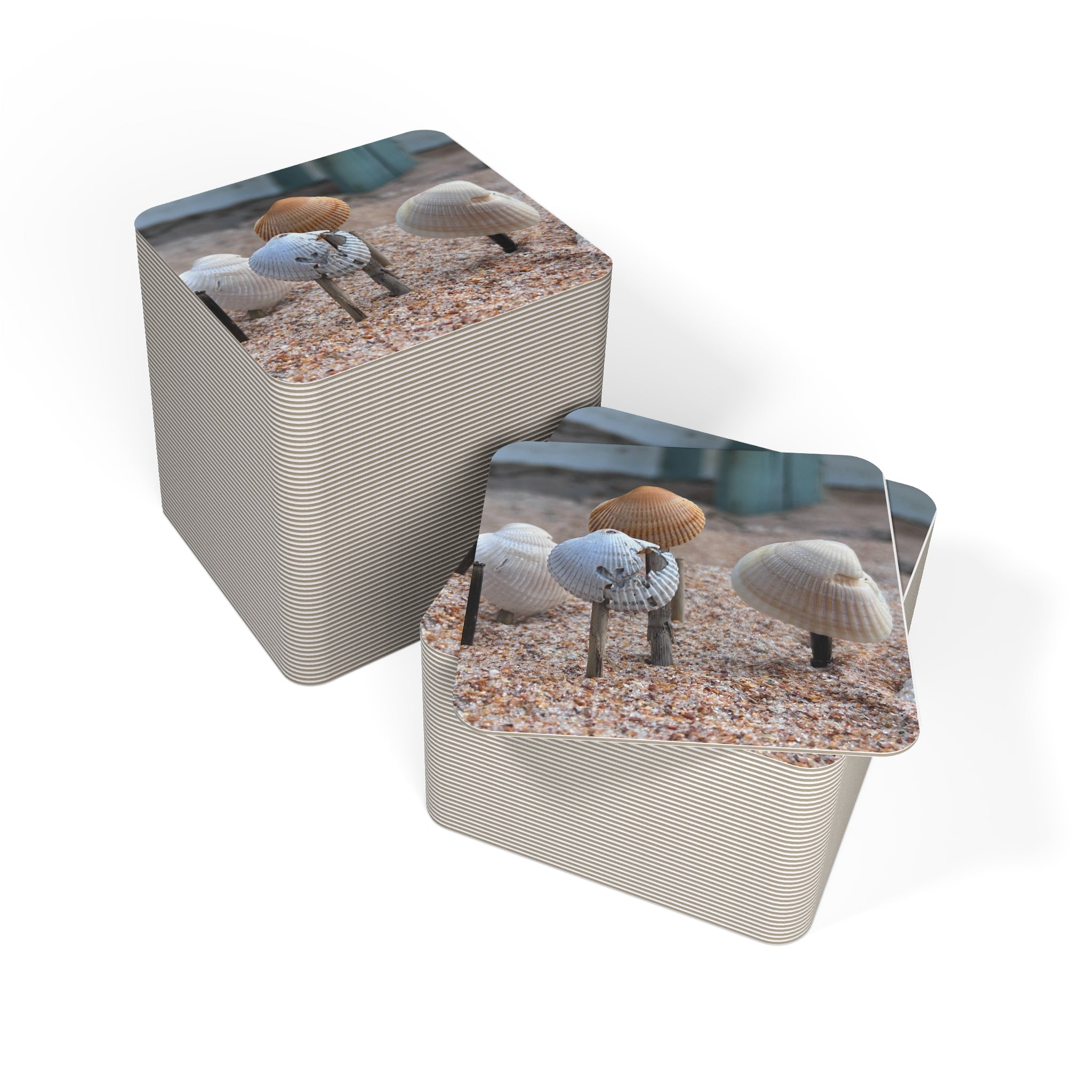 Coasters: Seashells - (50, 100 pcs)