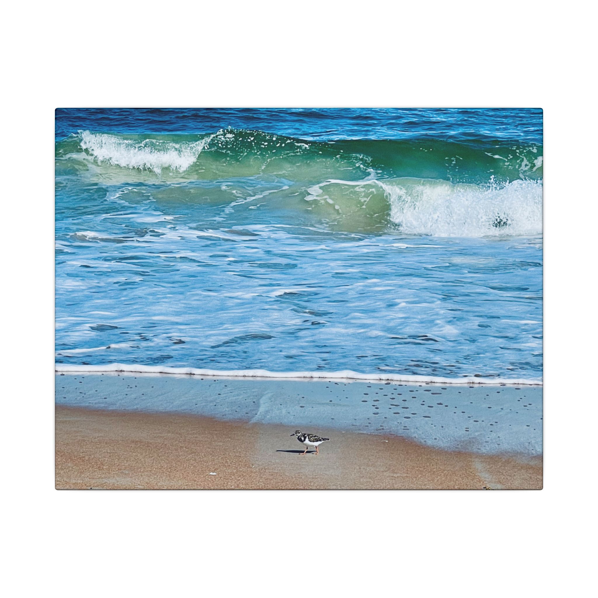 Canvas Print: Beach Day - Ormond By The Sea