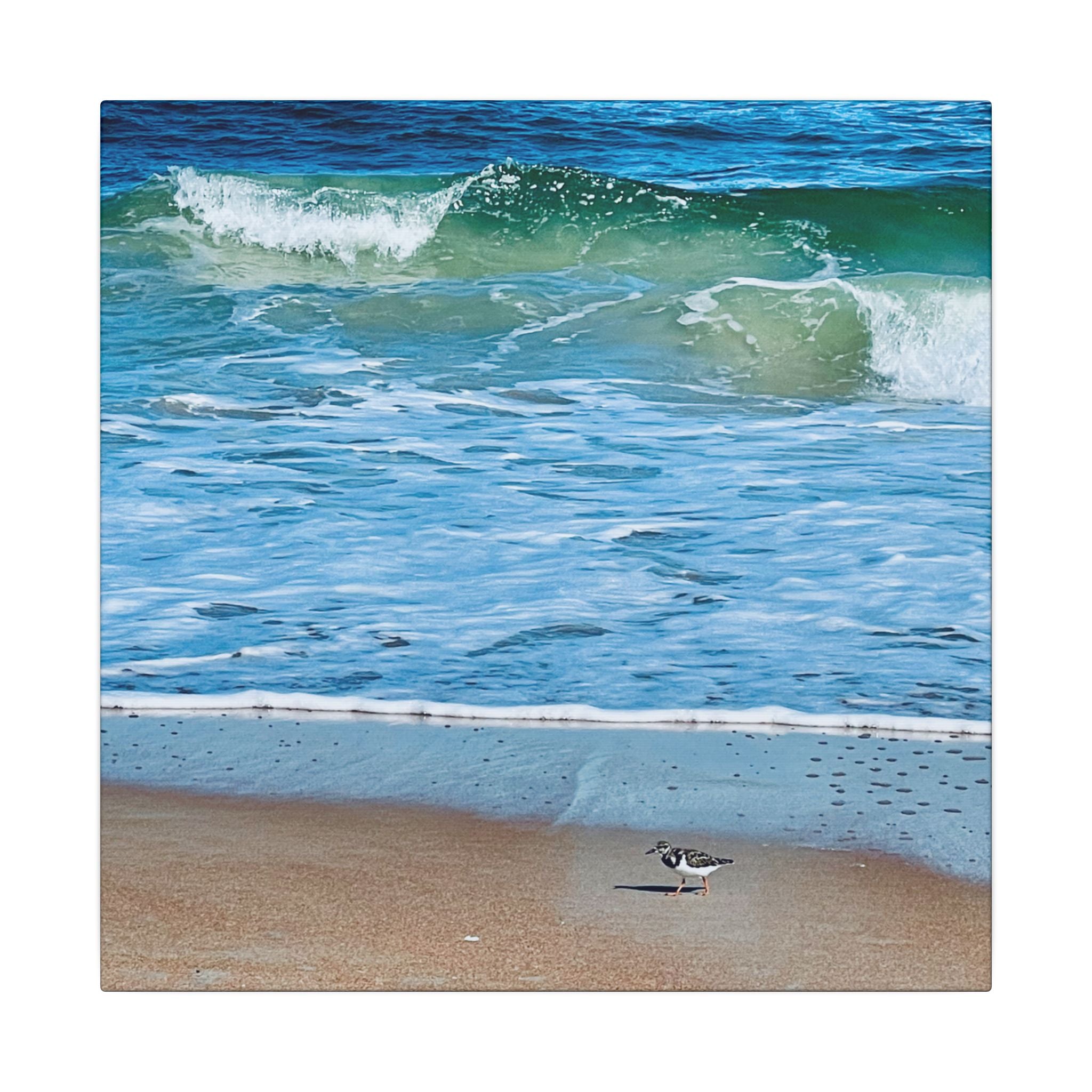 Canvas Print: Beach Day - Ormond By The Sea