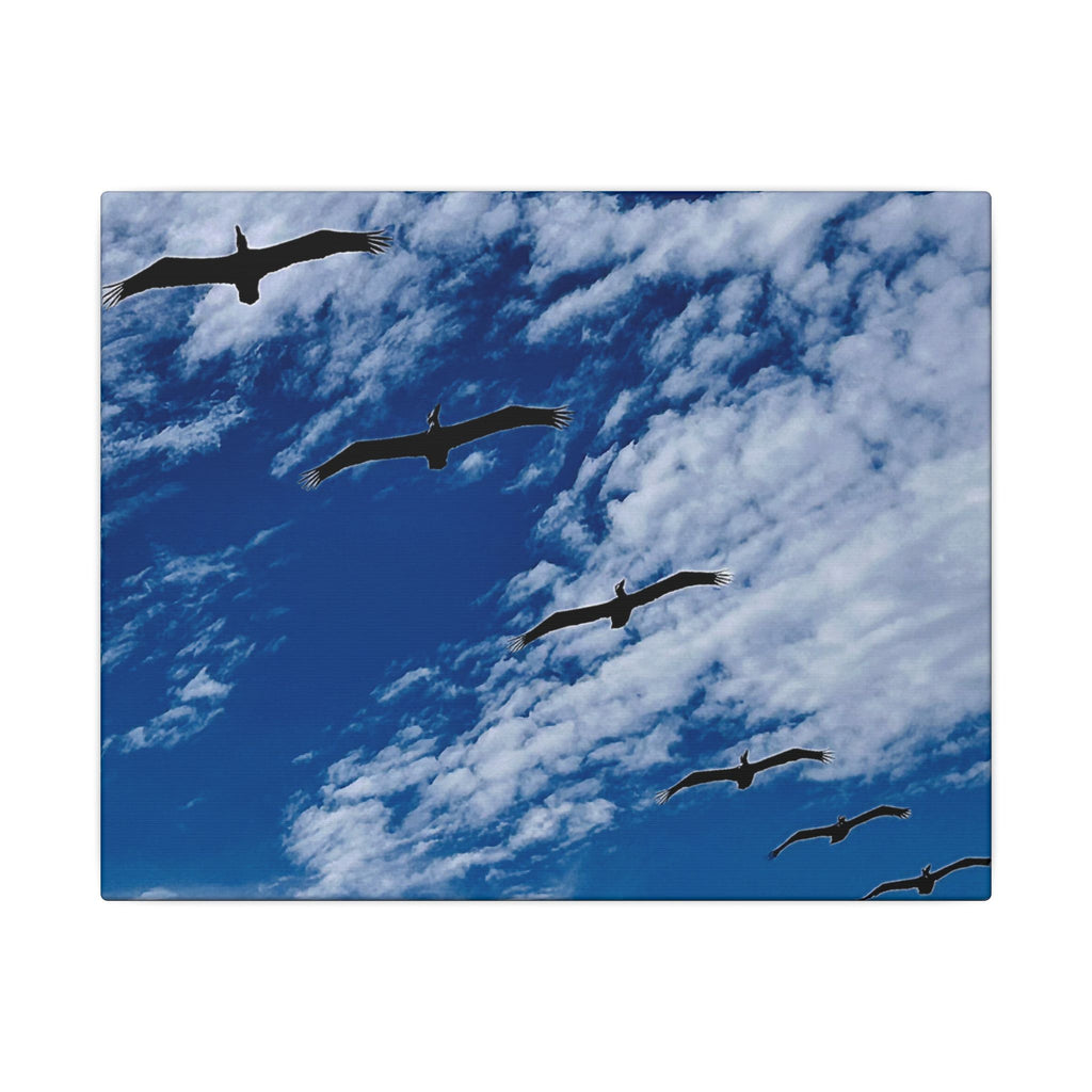Canvas Print: Birds Flying Over Ormond Beach