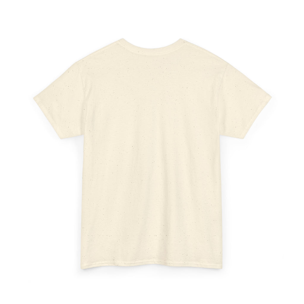 Teeshirt: Naughty or Nice... We Tried - Adult (M/F)