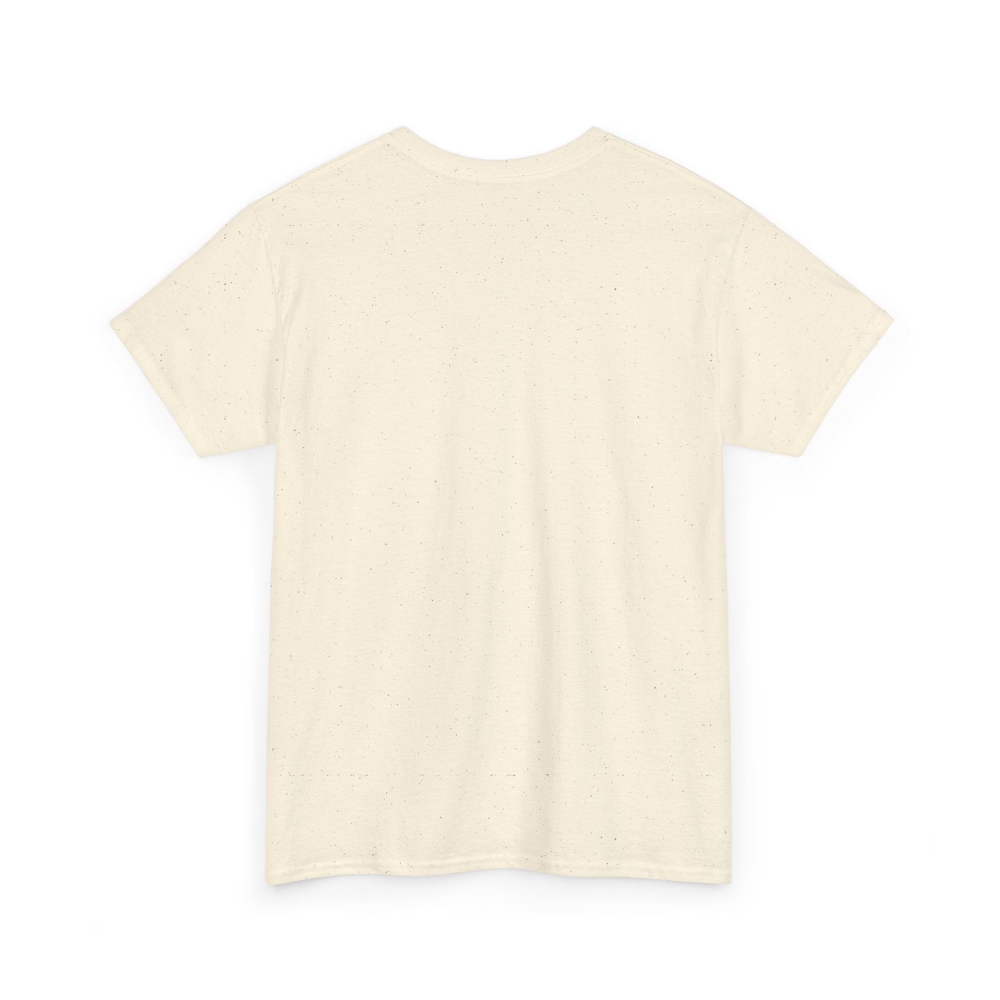 Teeshirt: Naughty or Nice... We Tried - Adult (M/F)