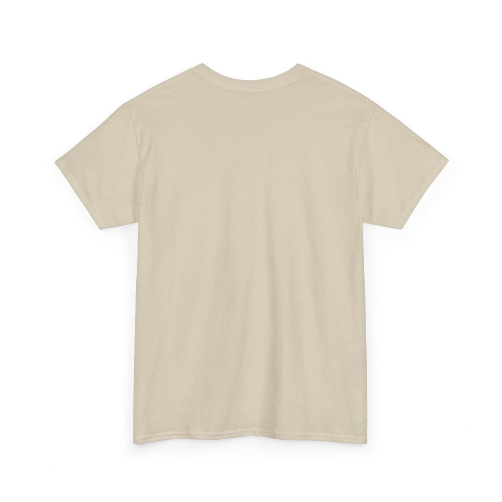 Teeshirt: Naughty or Nice... We Tried - Adult (M/F)