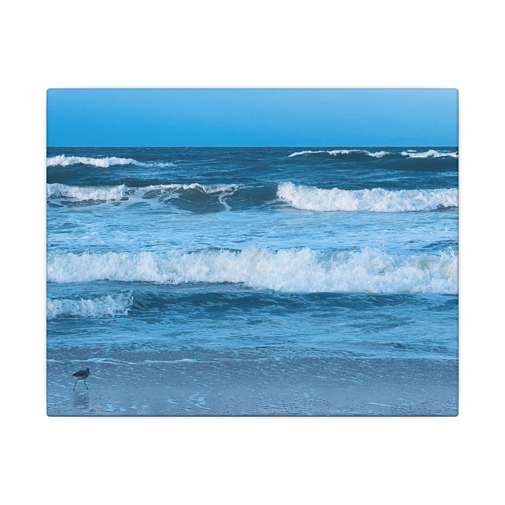 Canvas Print: Beachy Waves - Ormond-By-The-Sea