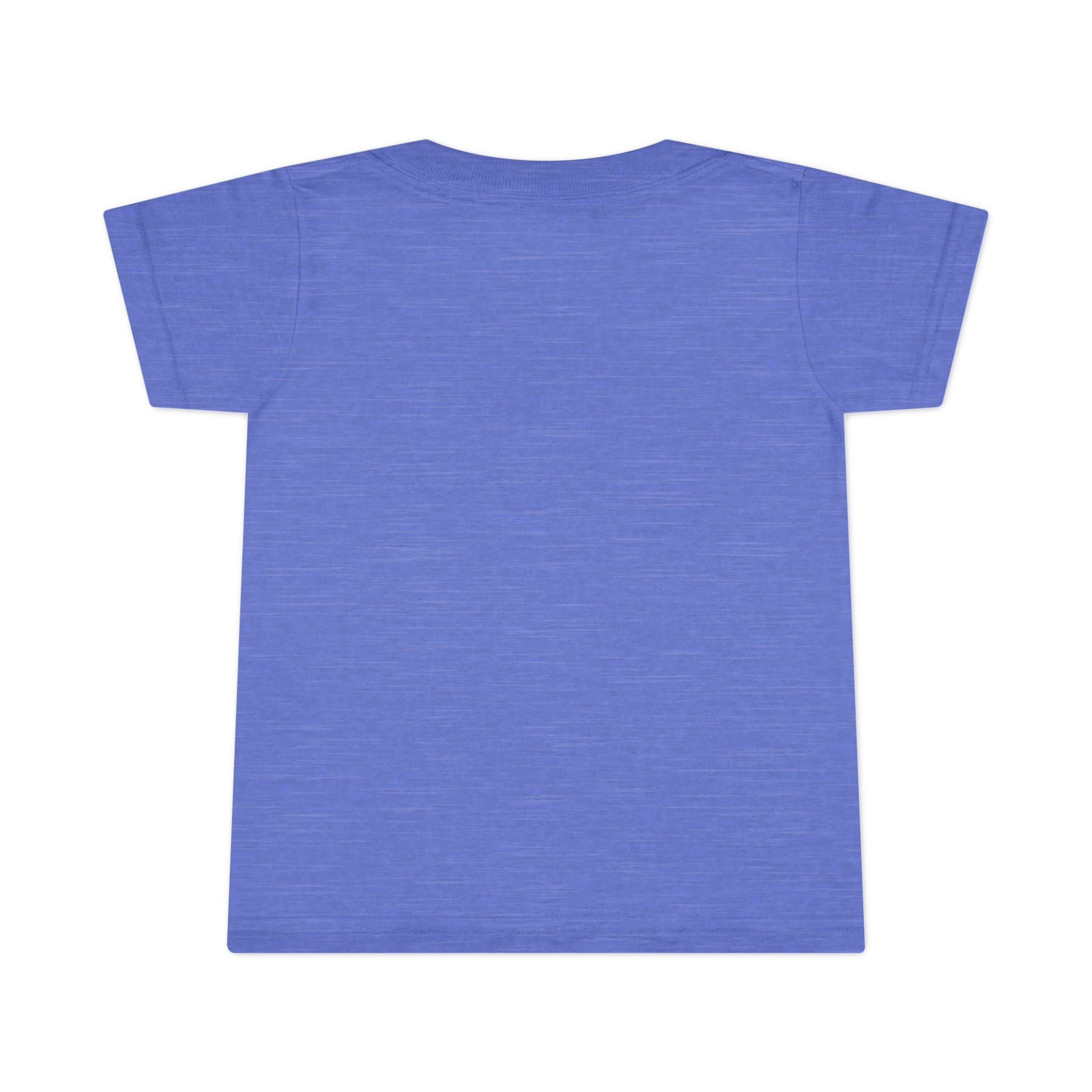 Teeshirt: Naughty or Nice... We Tried - Toddler (M/F)