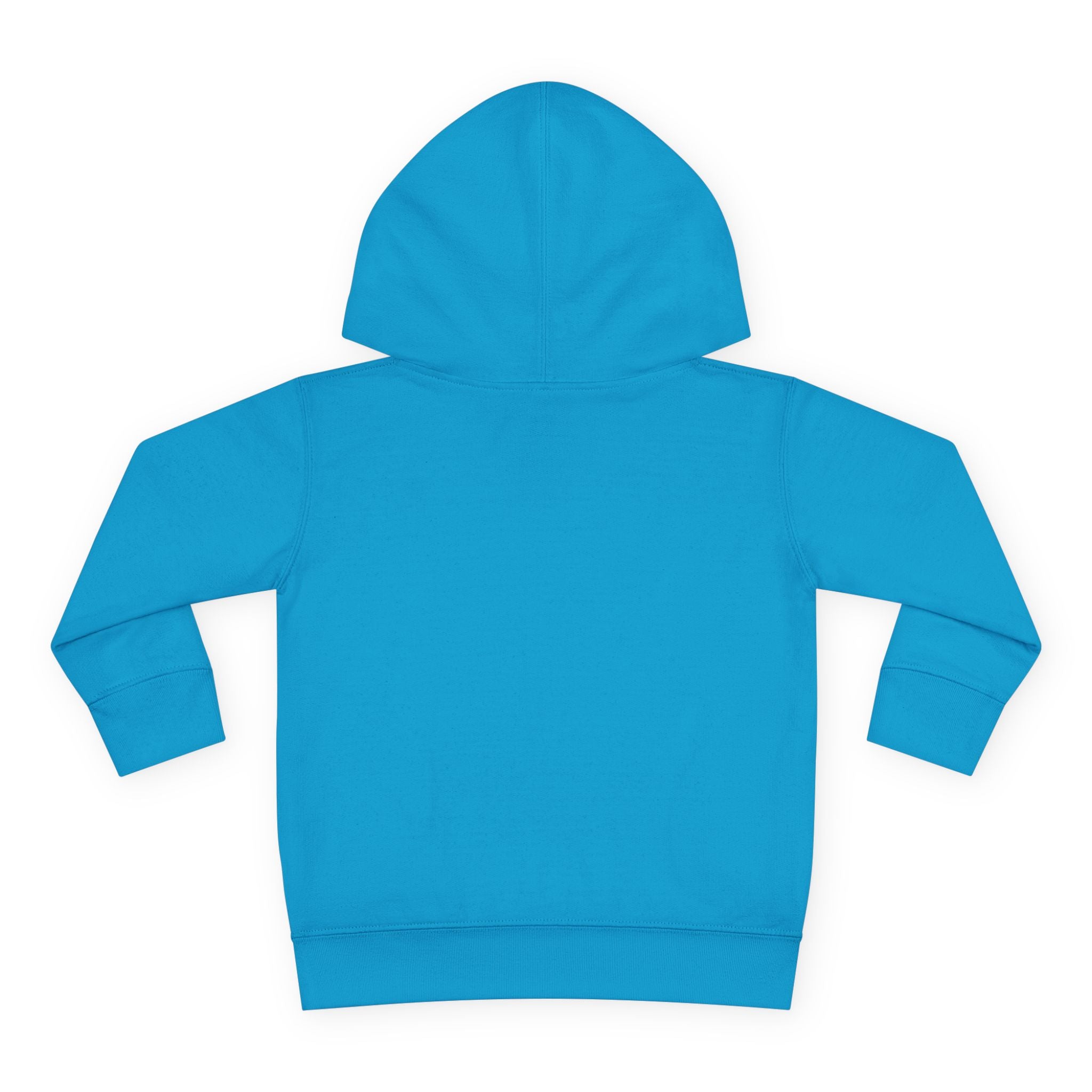Hoodie: Cozy Crew Reindeer Sister (Toddler)