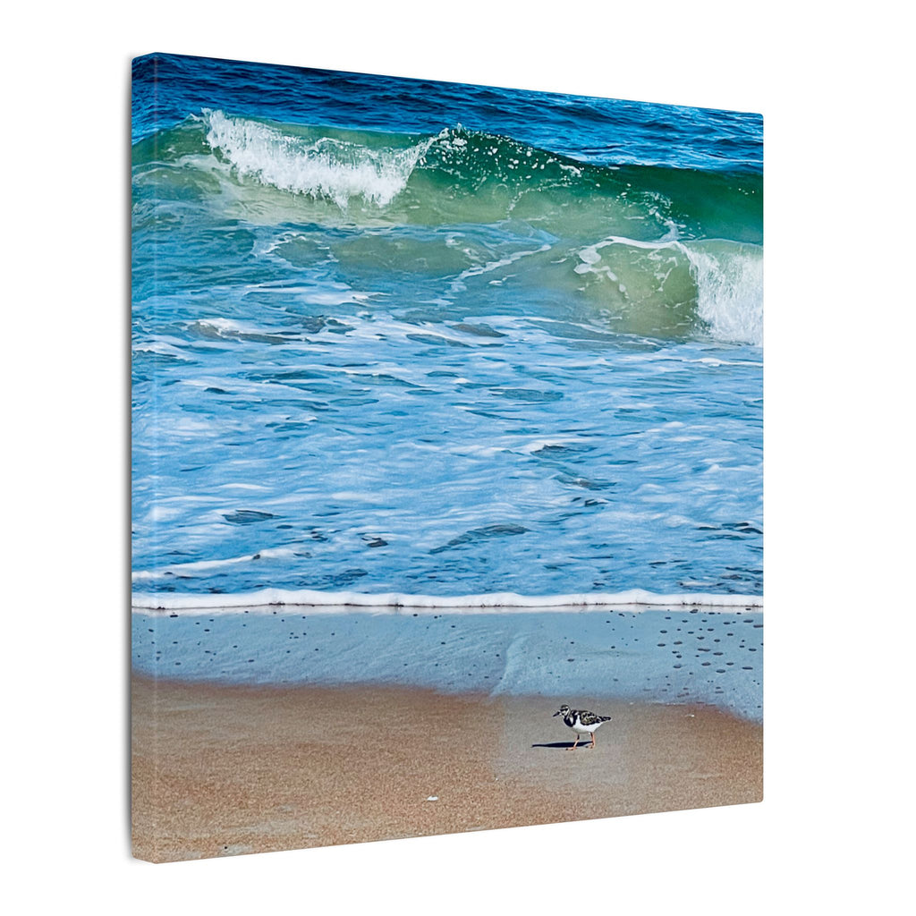 Canvas Print: Beach Day - Ormond By The Sea