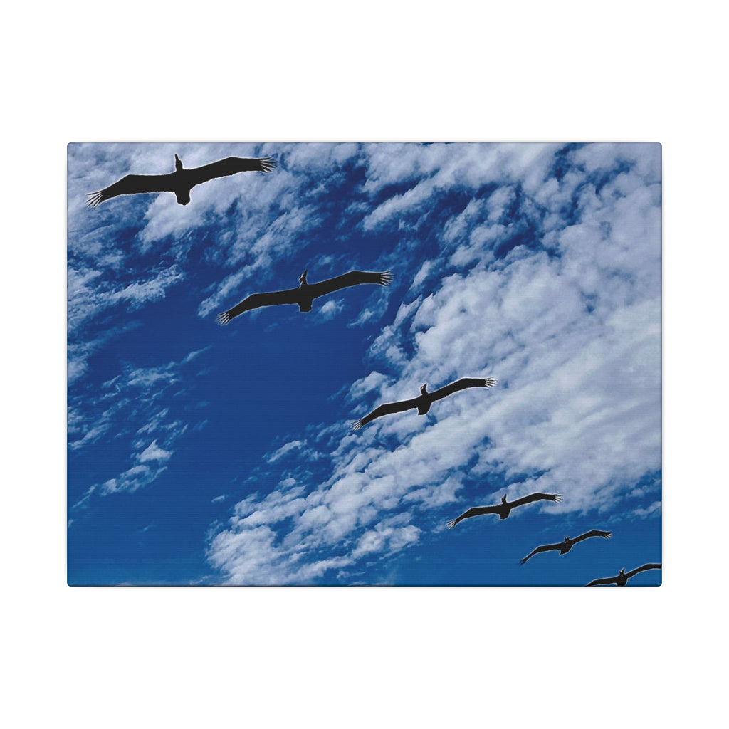 Canvas Print: Birds Flying Over Ormond Beach